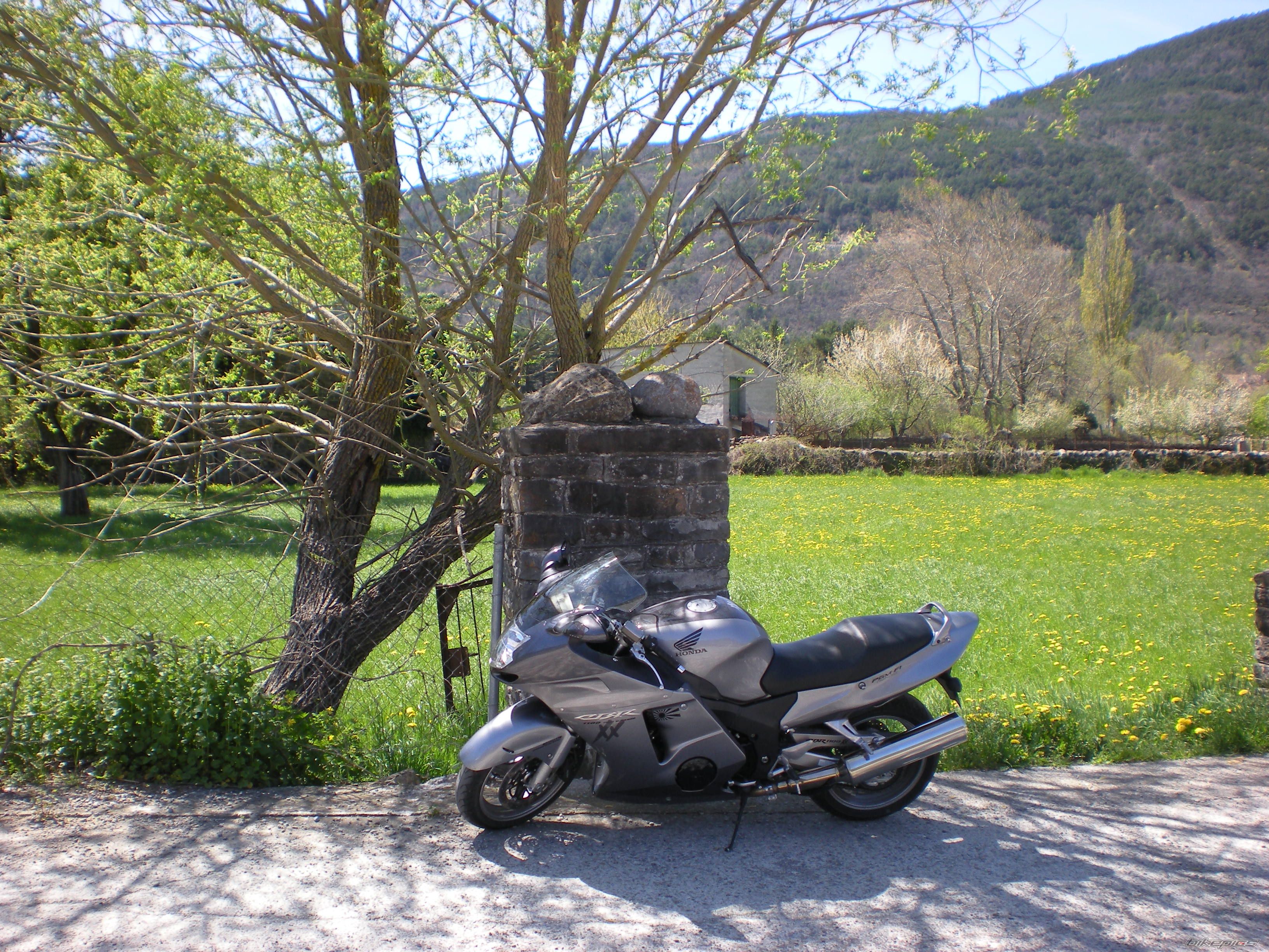 Photo 1644608