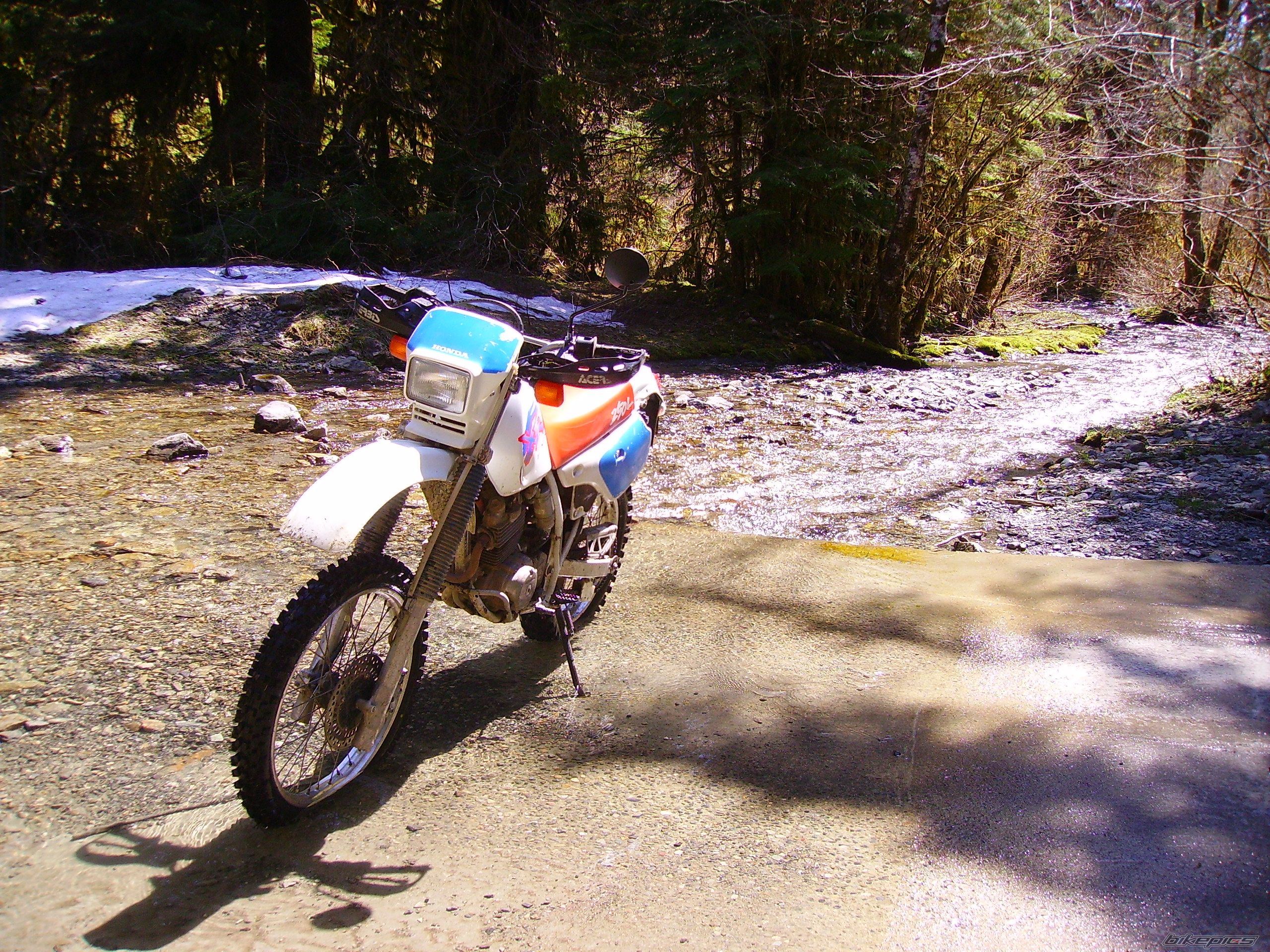 Bike Photo 1644661