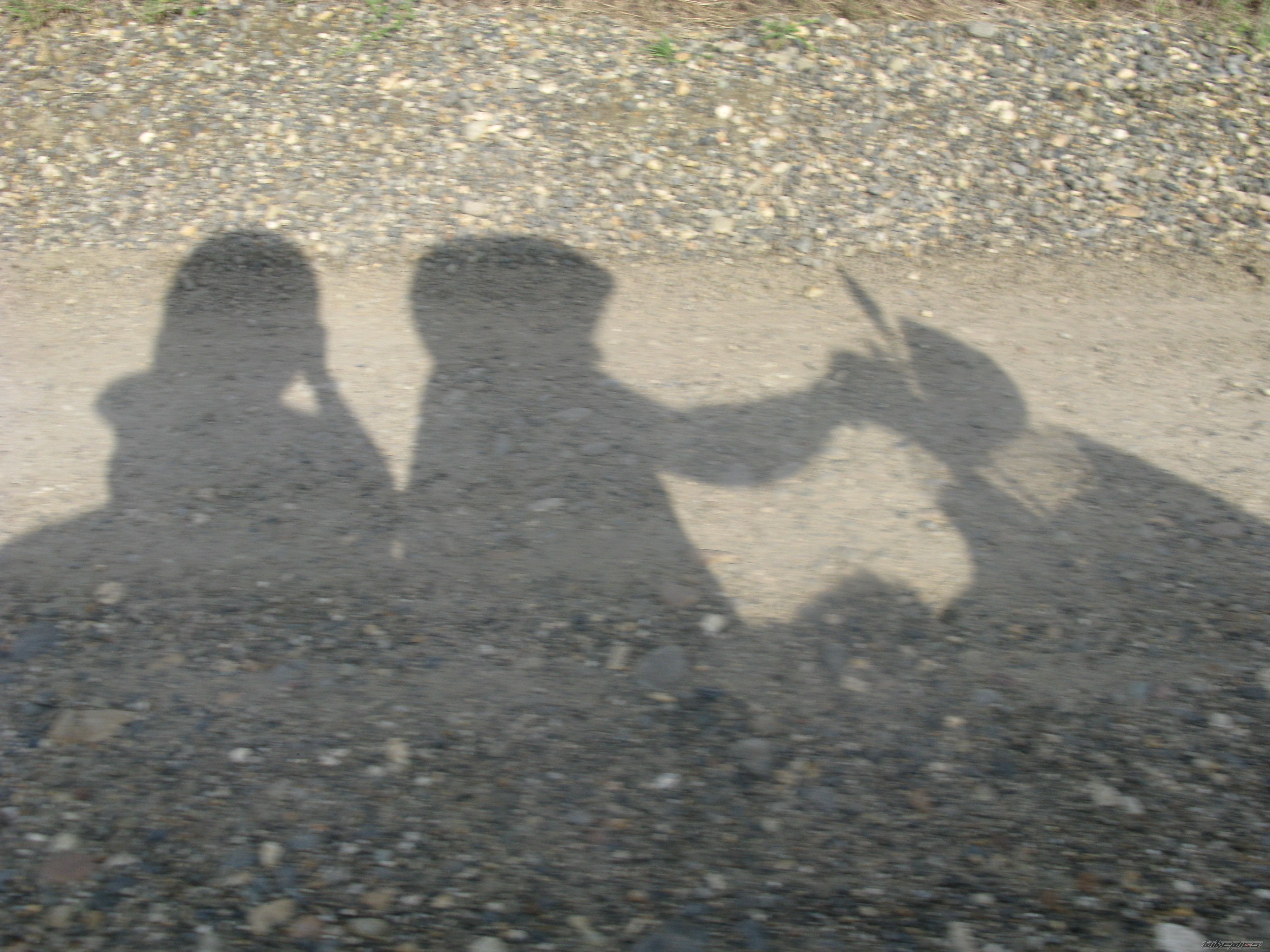 Photo 1644782