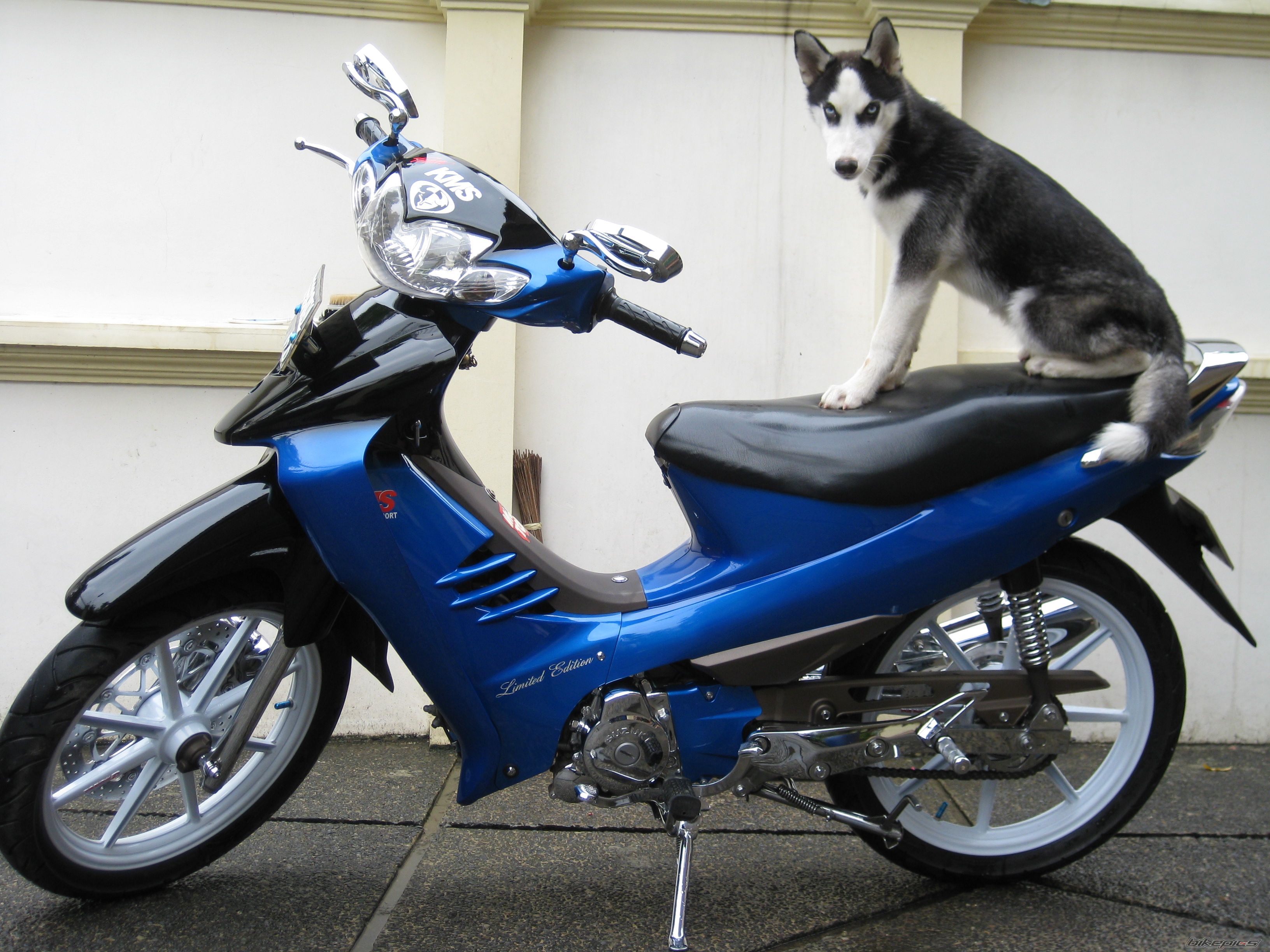 Photo 1644908