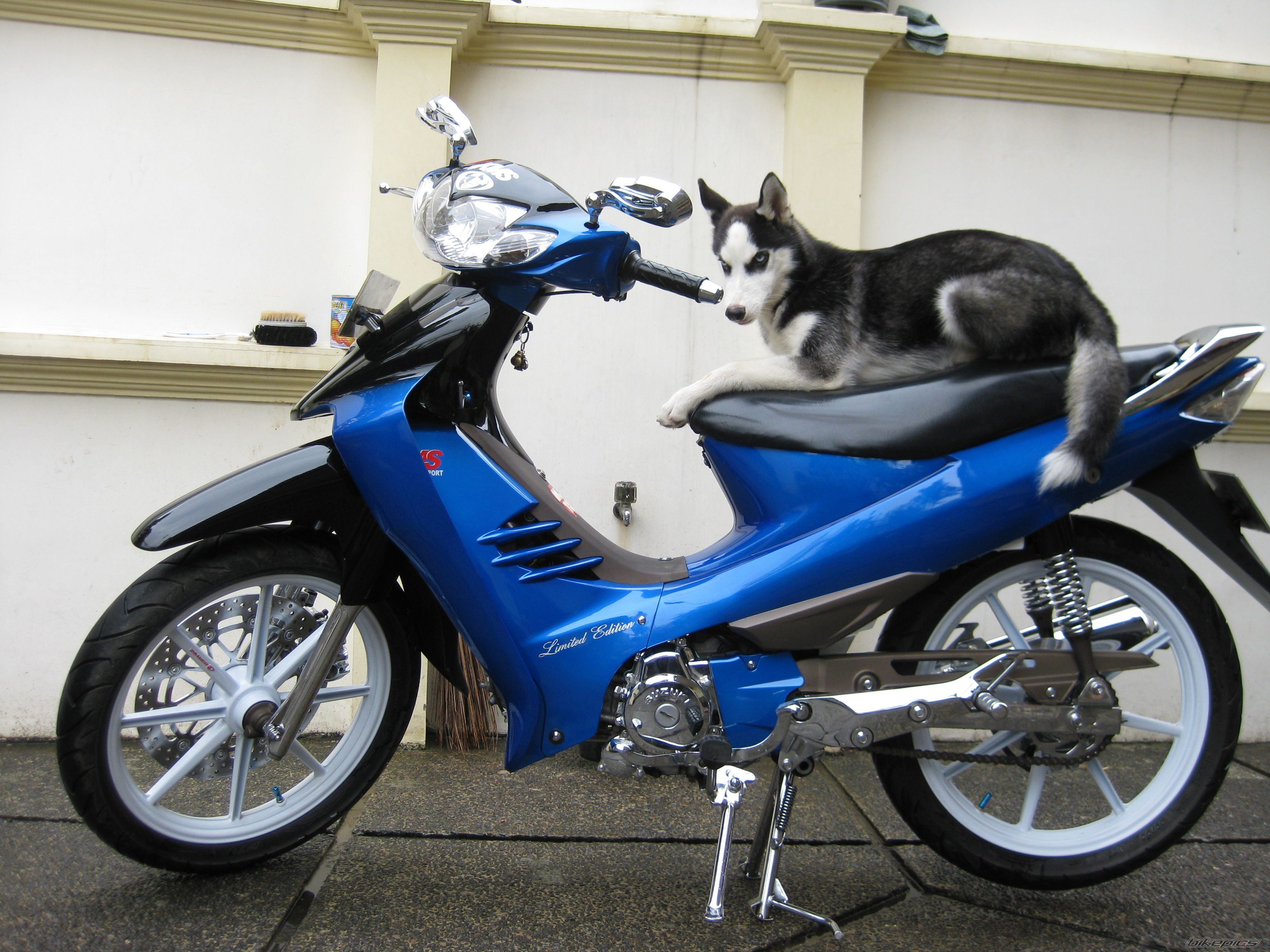 Photo 1644911