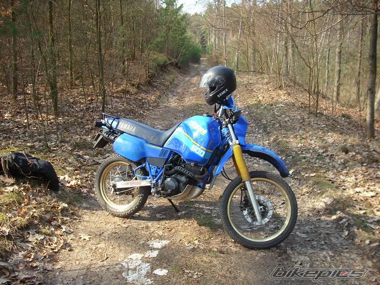 Photo 1645017
