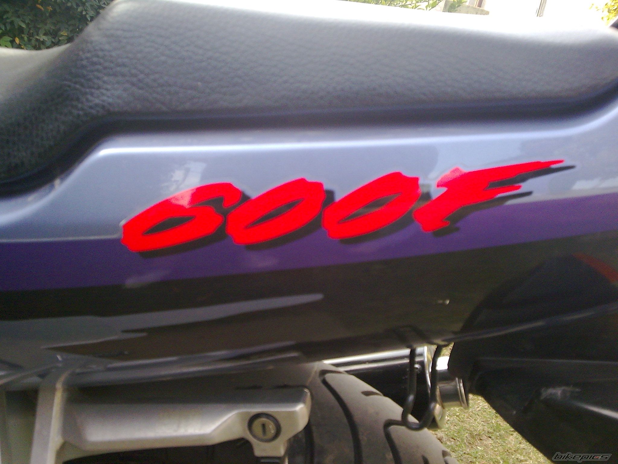 Photo 1645060