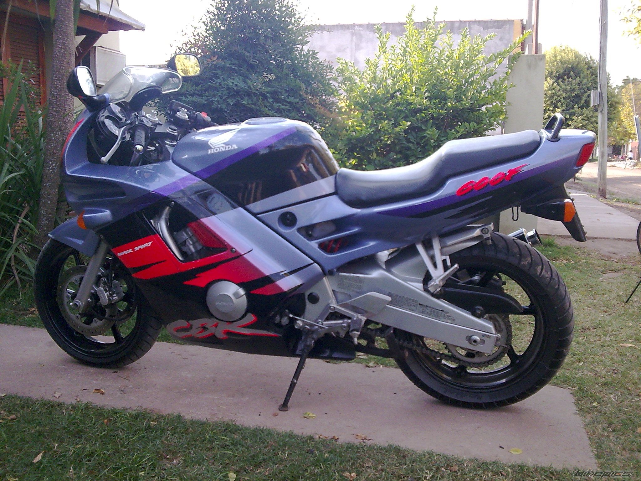 Photo 1645061