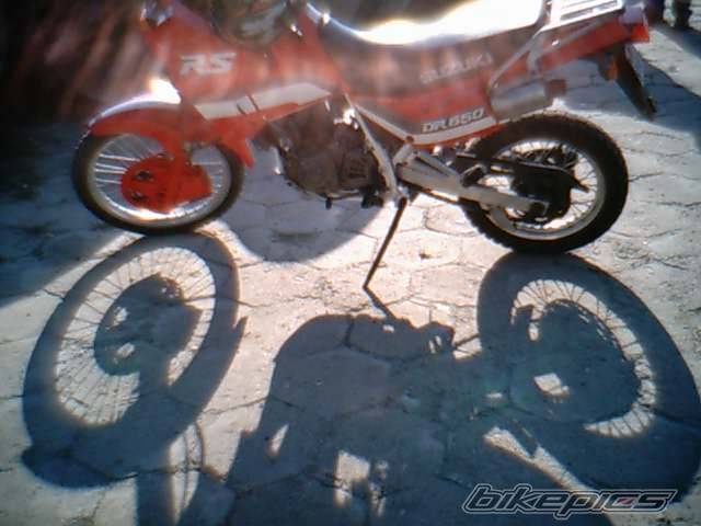Photo 164508