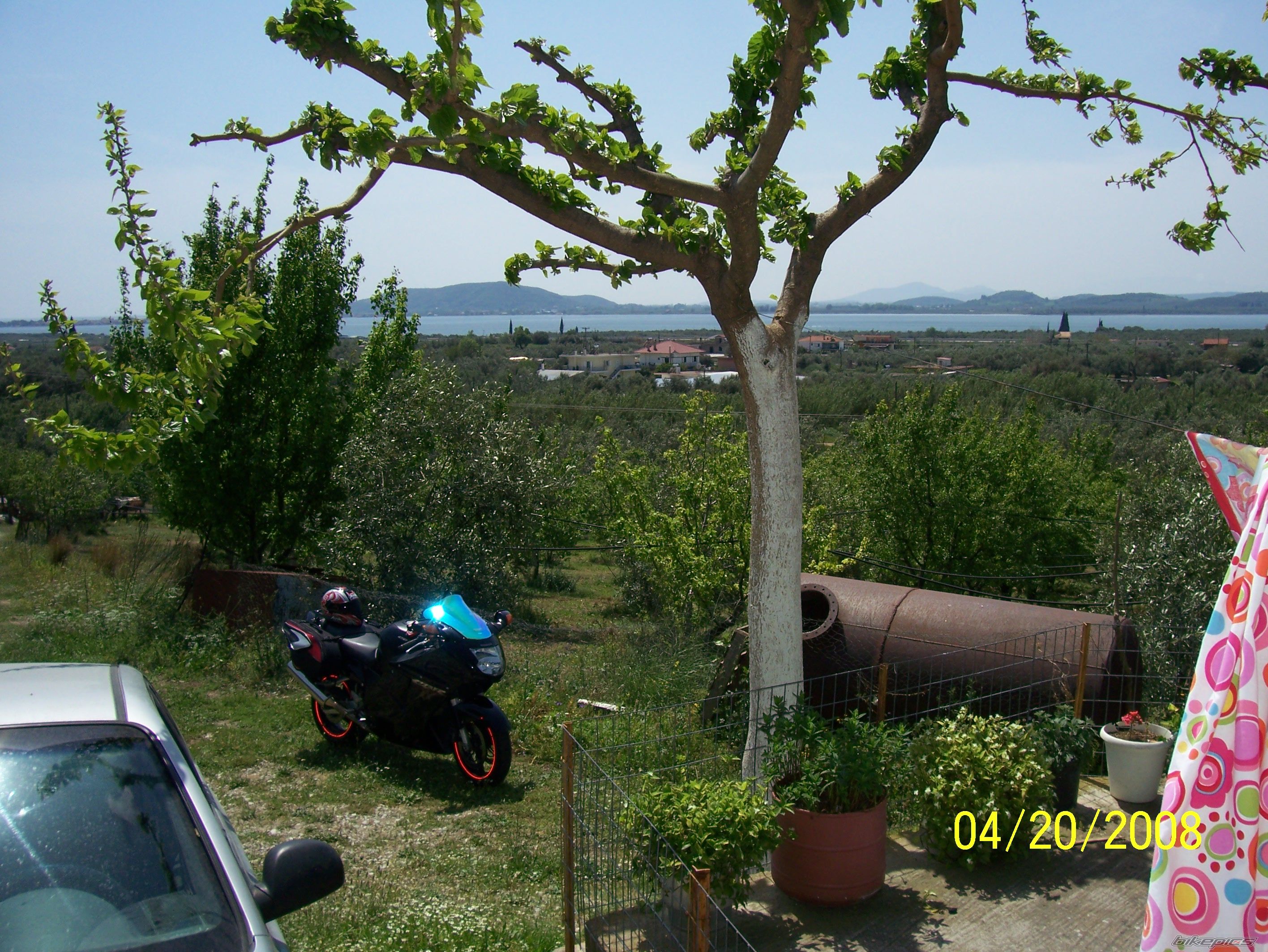 Photo 1645085