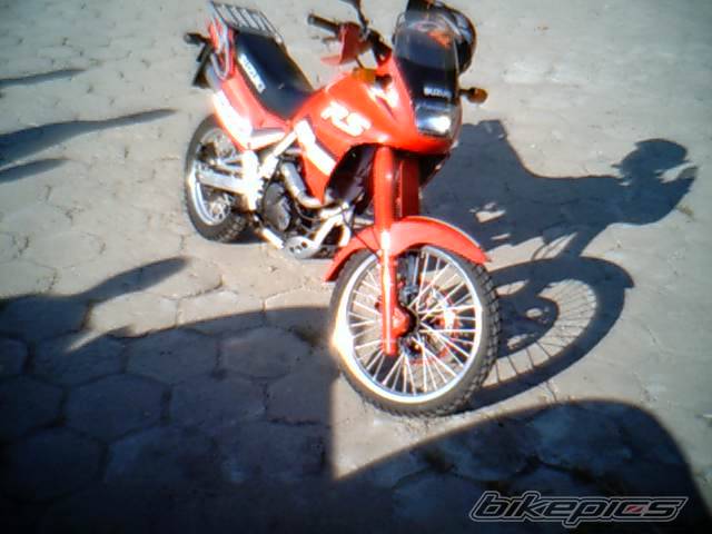Photo 164509