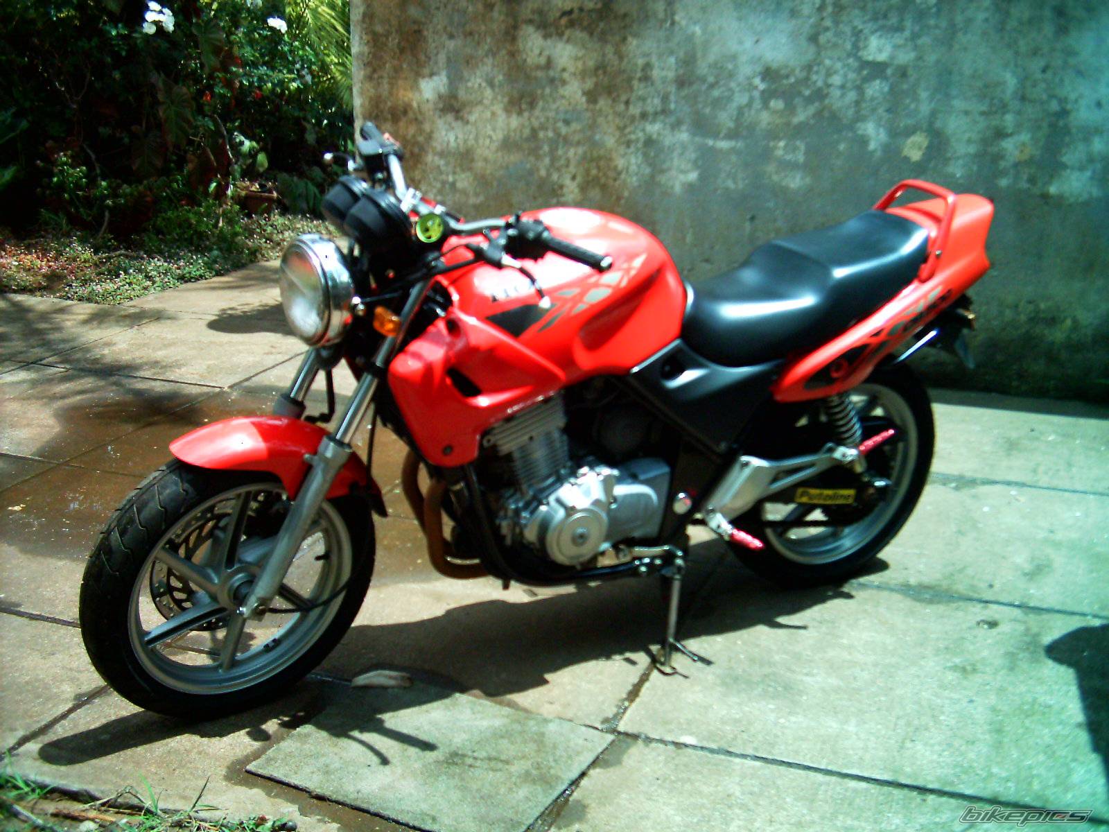 Photo 164513