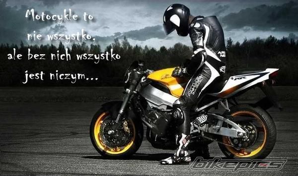 Bike Photo 1645134