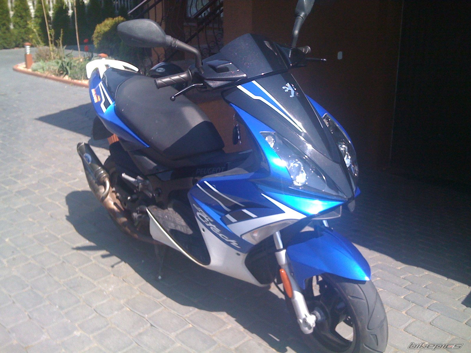 Photo 1645163