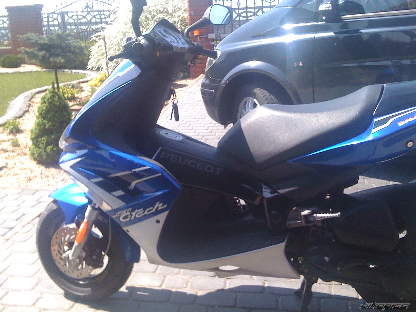 Photo 1645164