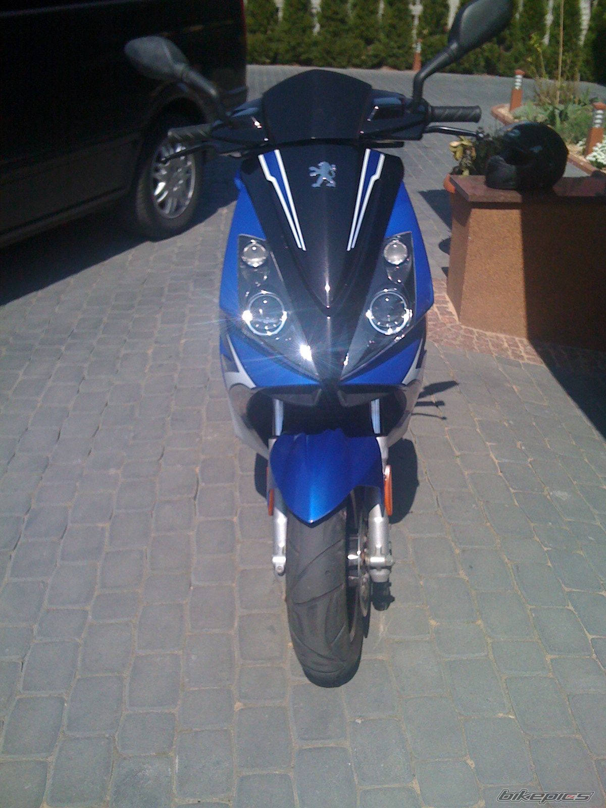 Photo 1645166