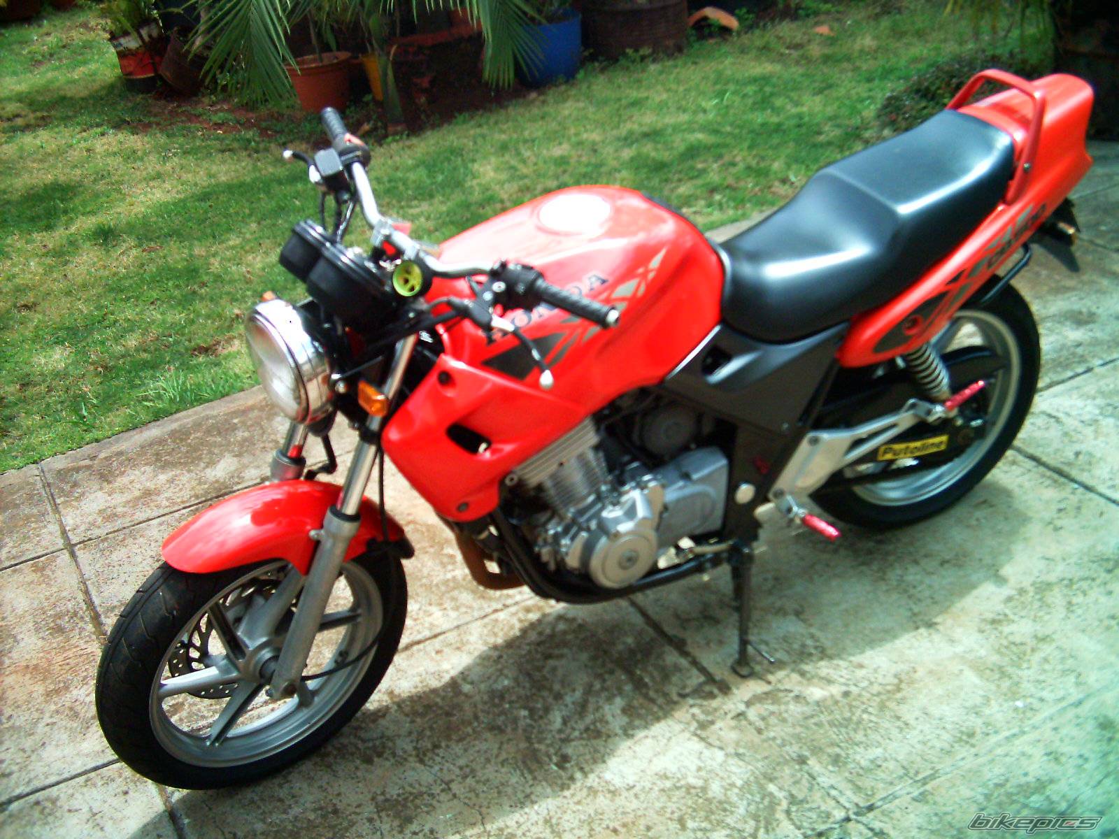 Photo 164518