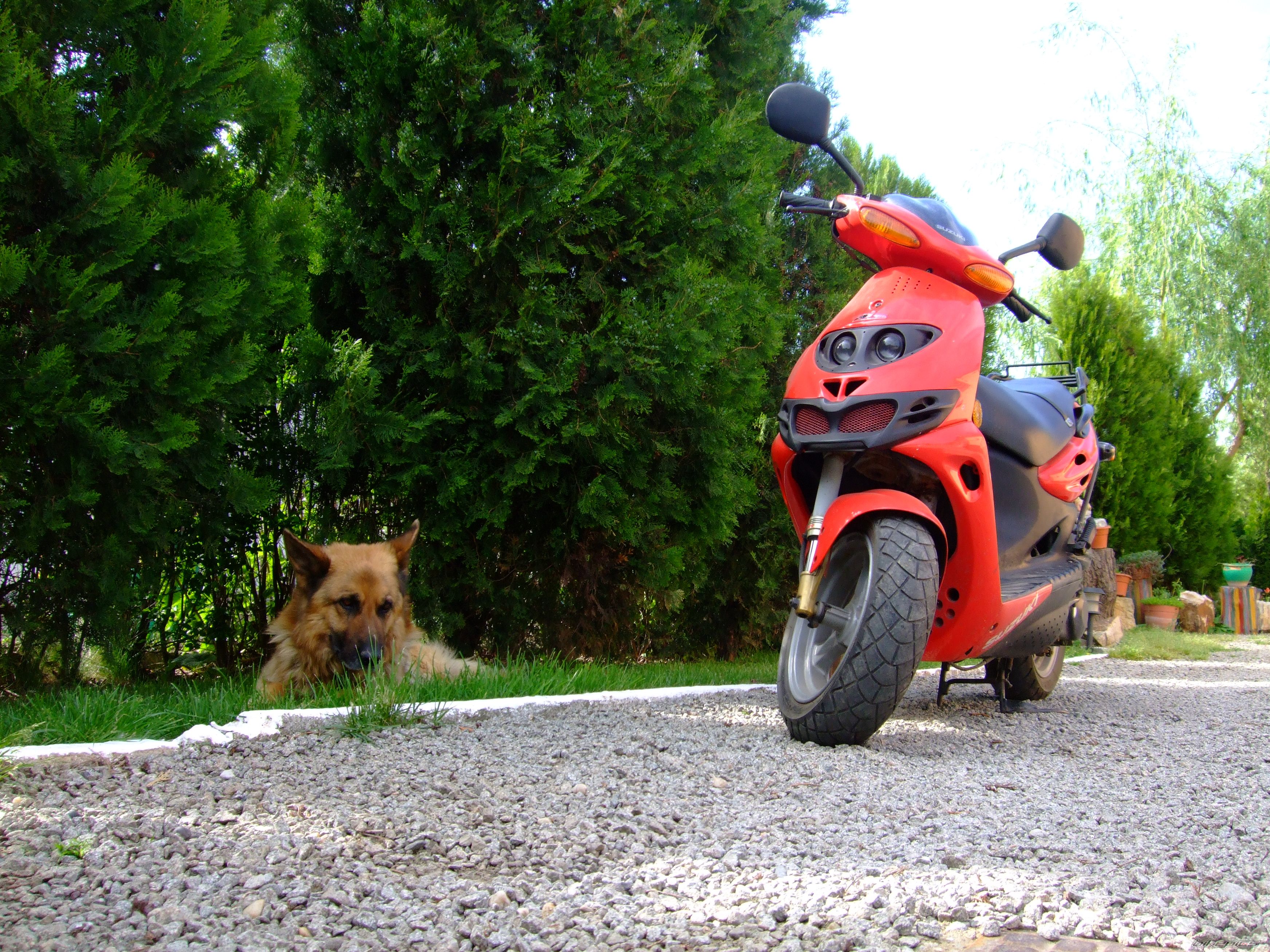 Bike Photo 1645180