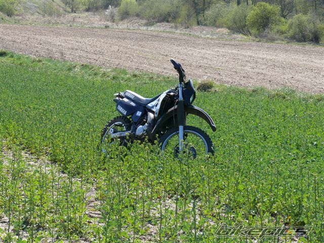 Bike Photo 1645194