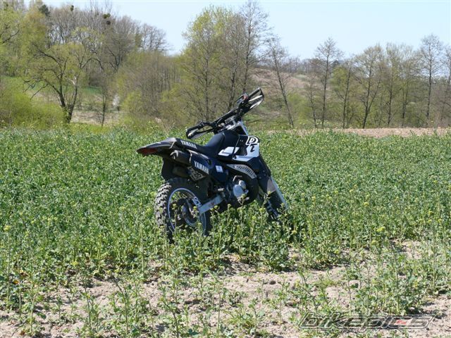 Bike Photo 1645195