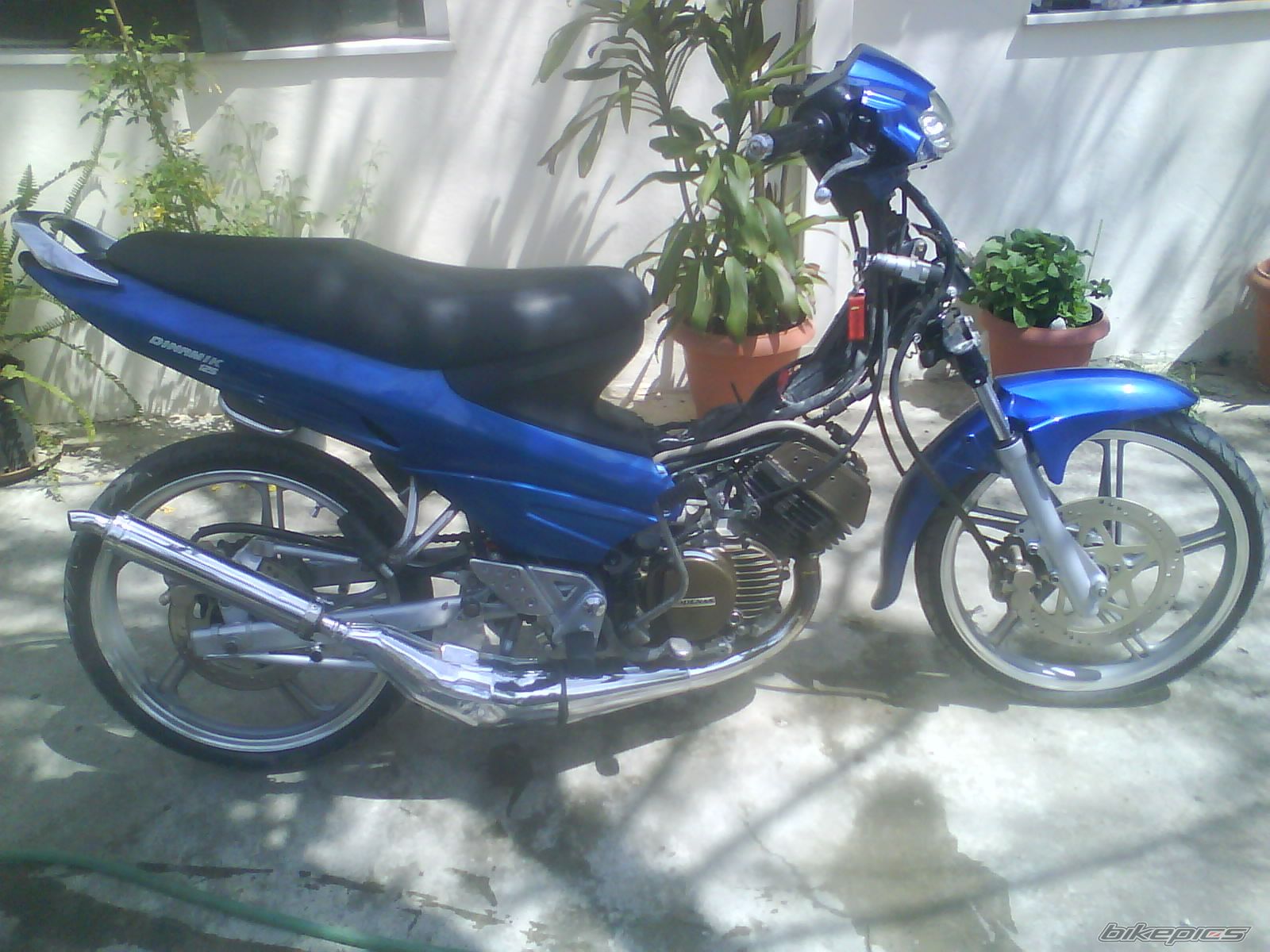 Photo 1645249