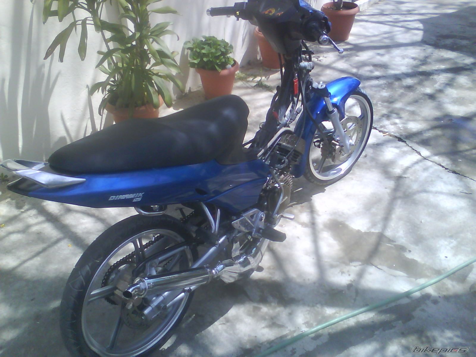 Photo 1645253