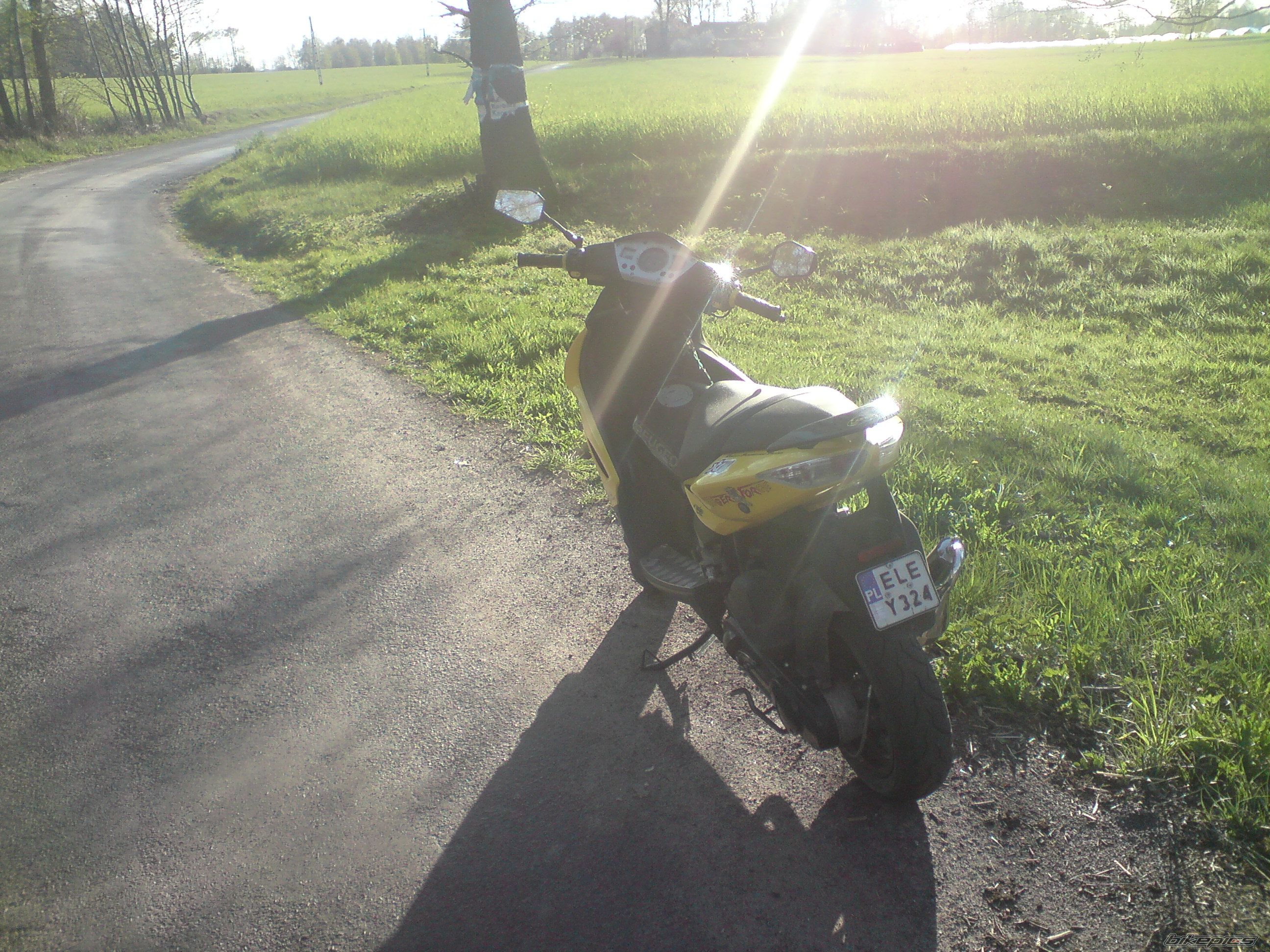 Photo 1645366