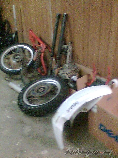 Photo 1645384