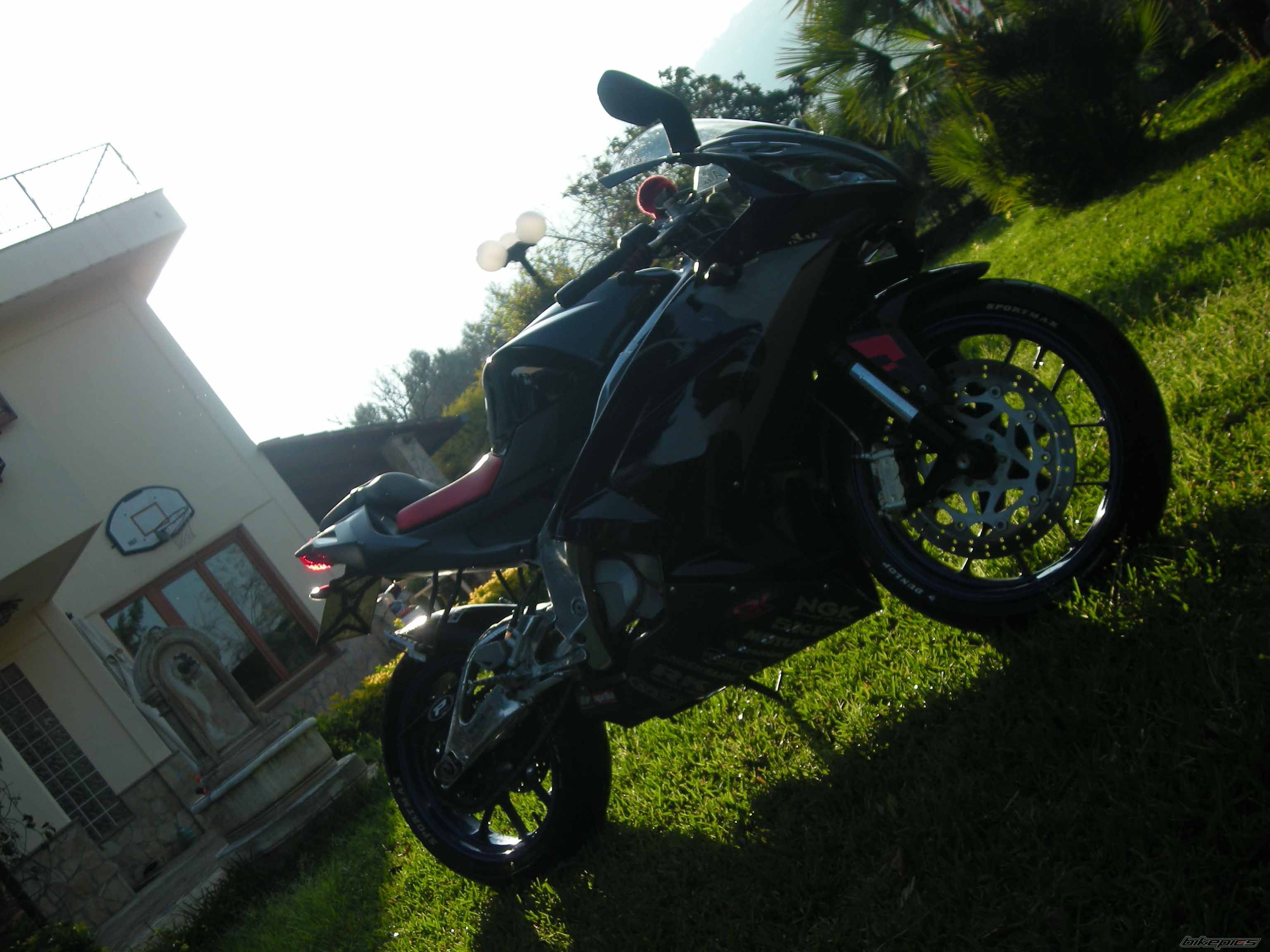 Photo 1645389