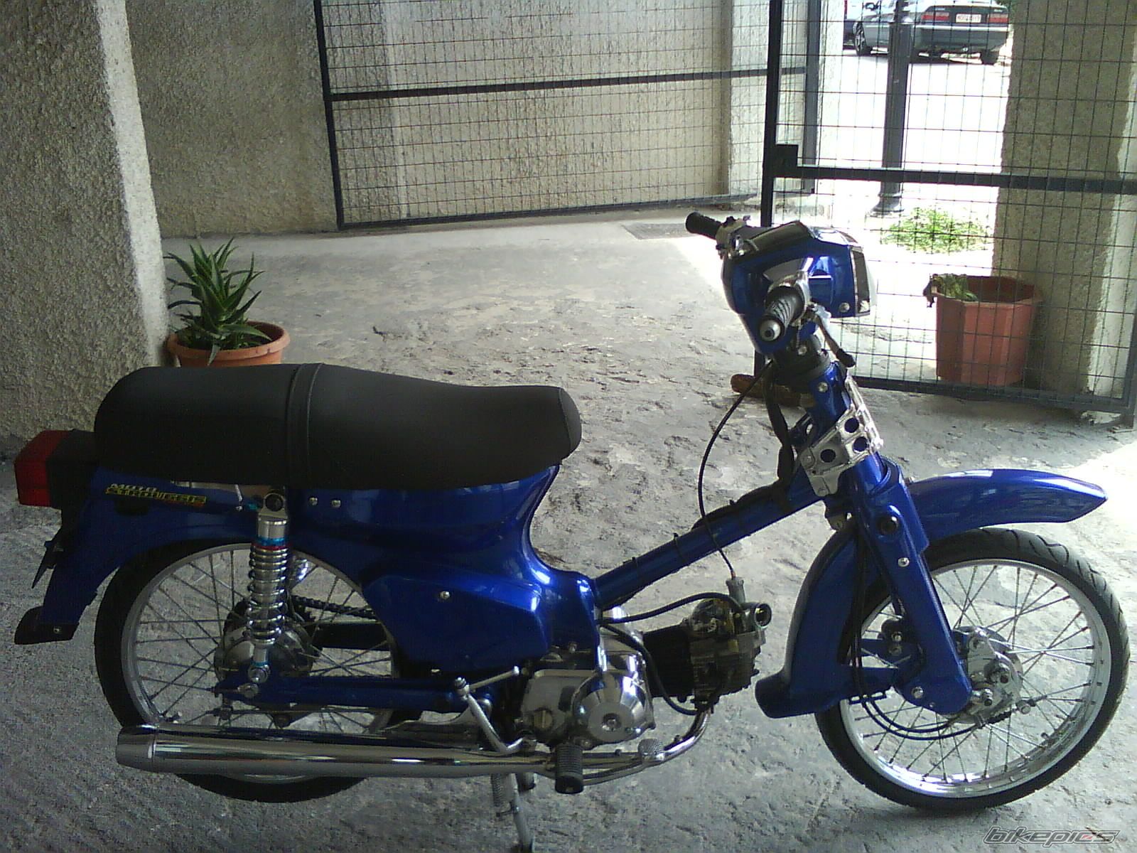 Photo 1645405