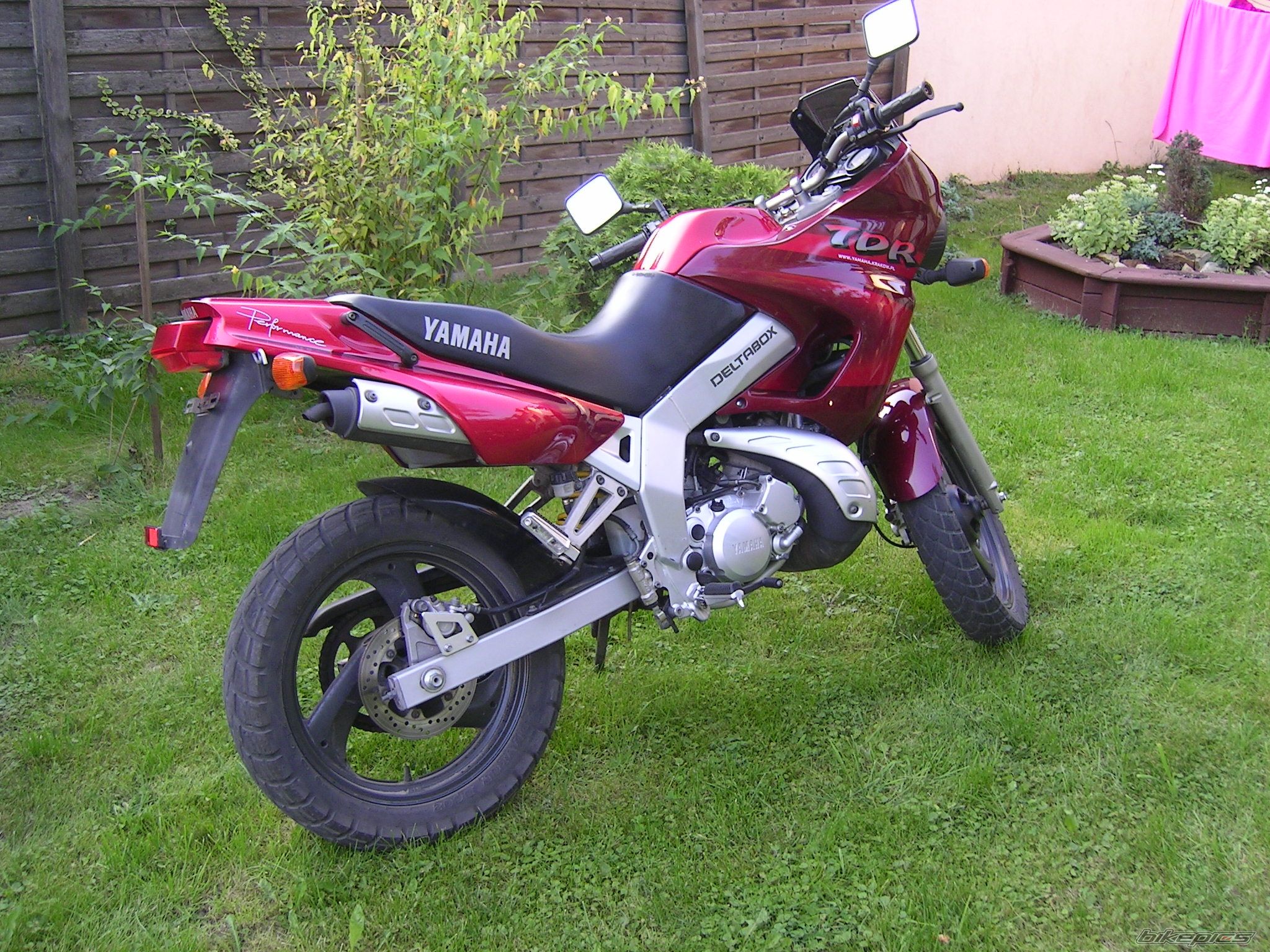 Photo 1645435