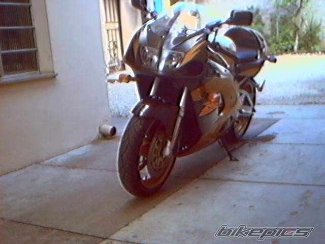 Photo 16456