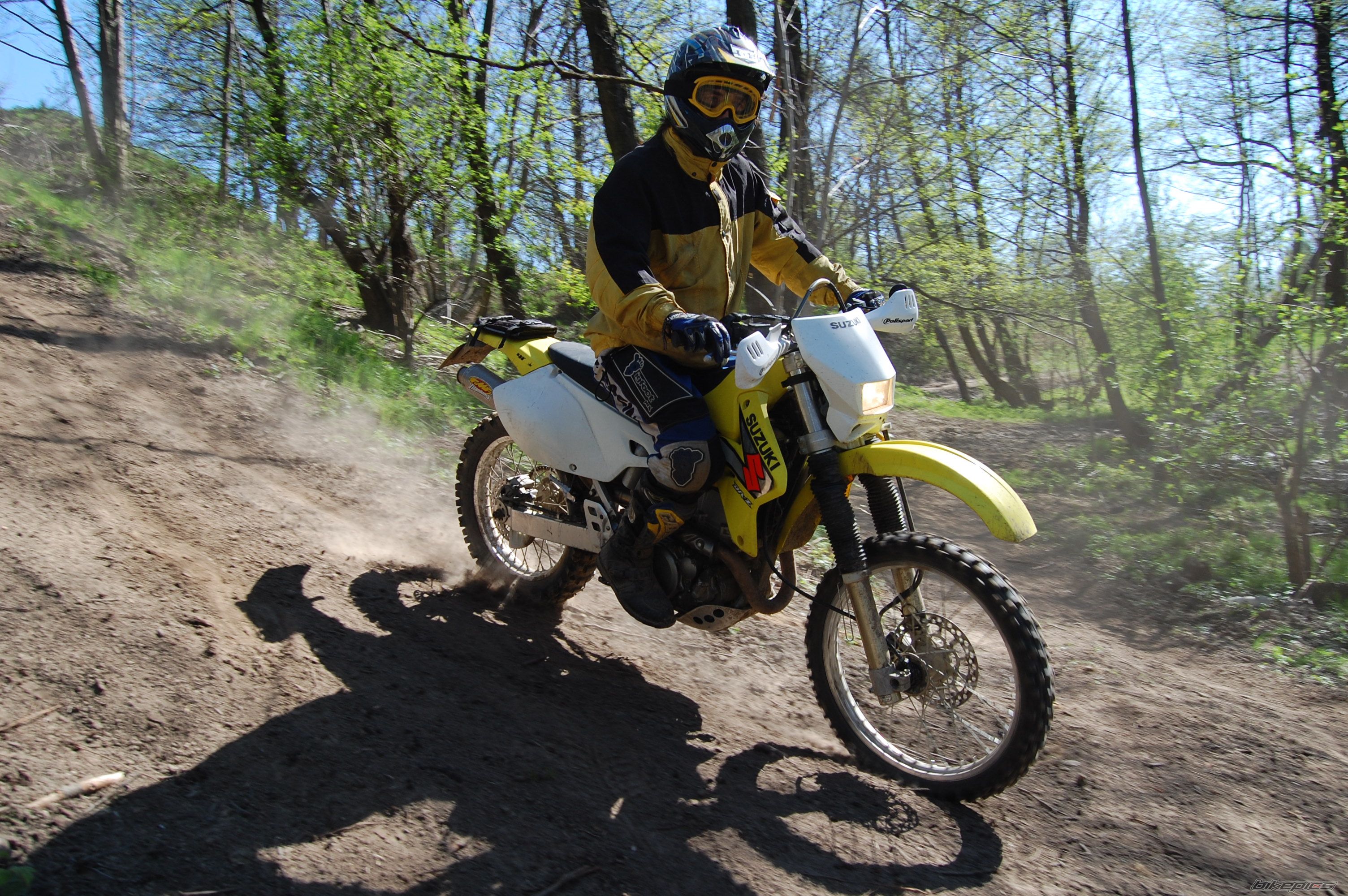 Photo 1645603