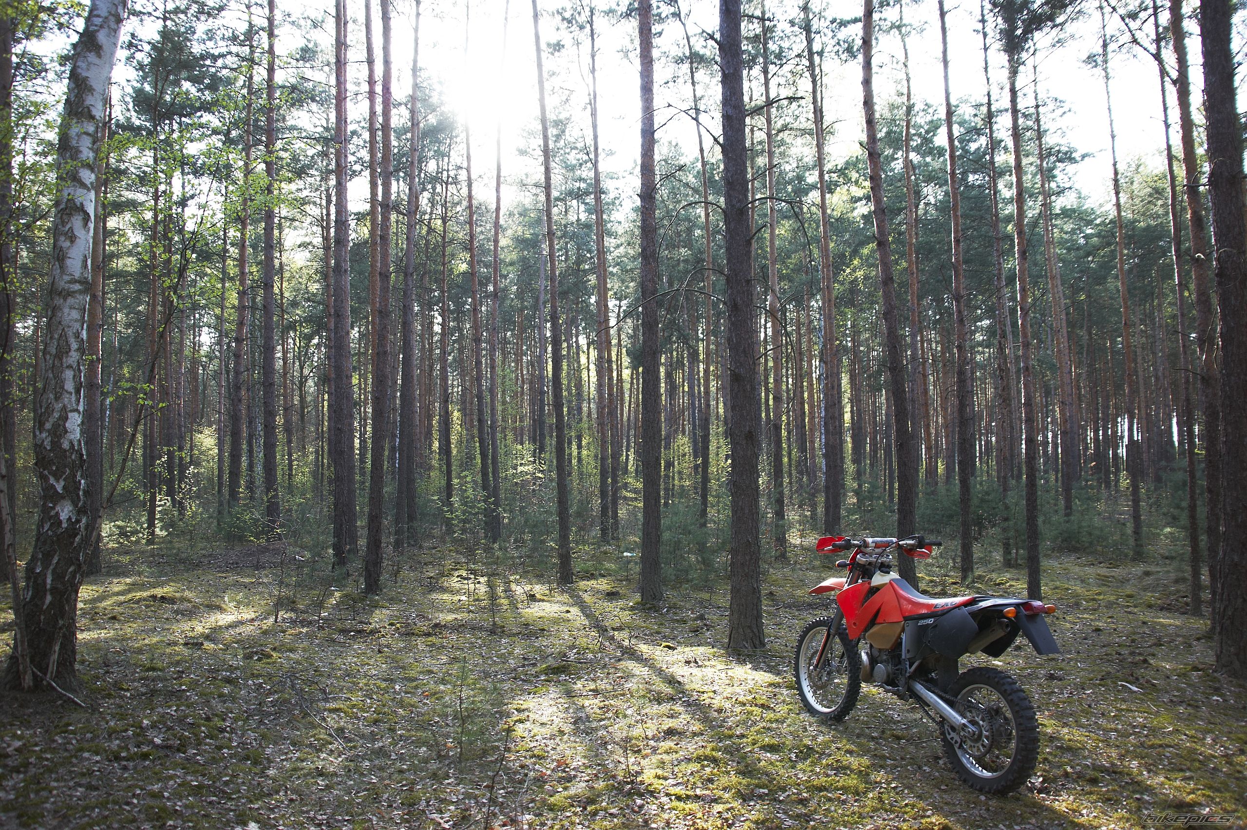 Photo 1645686