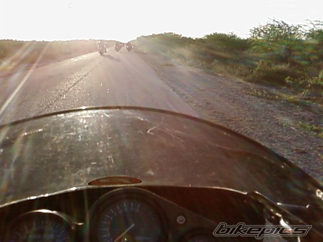 Photo 1645858