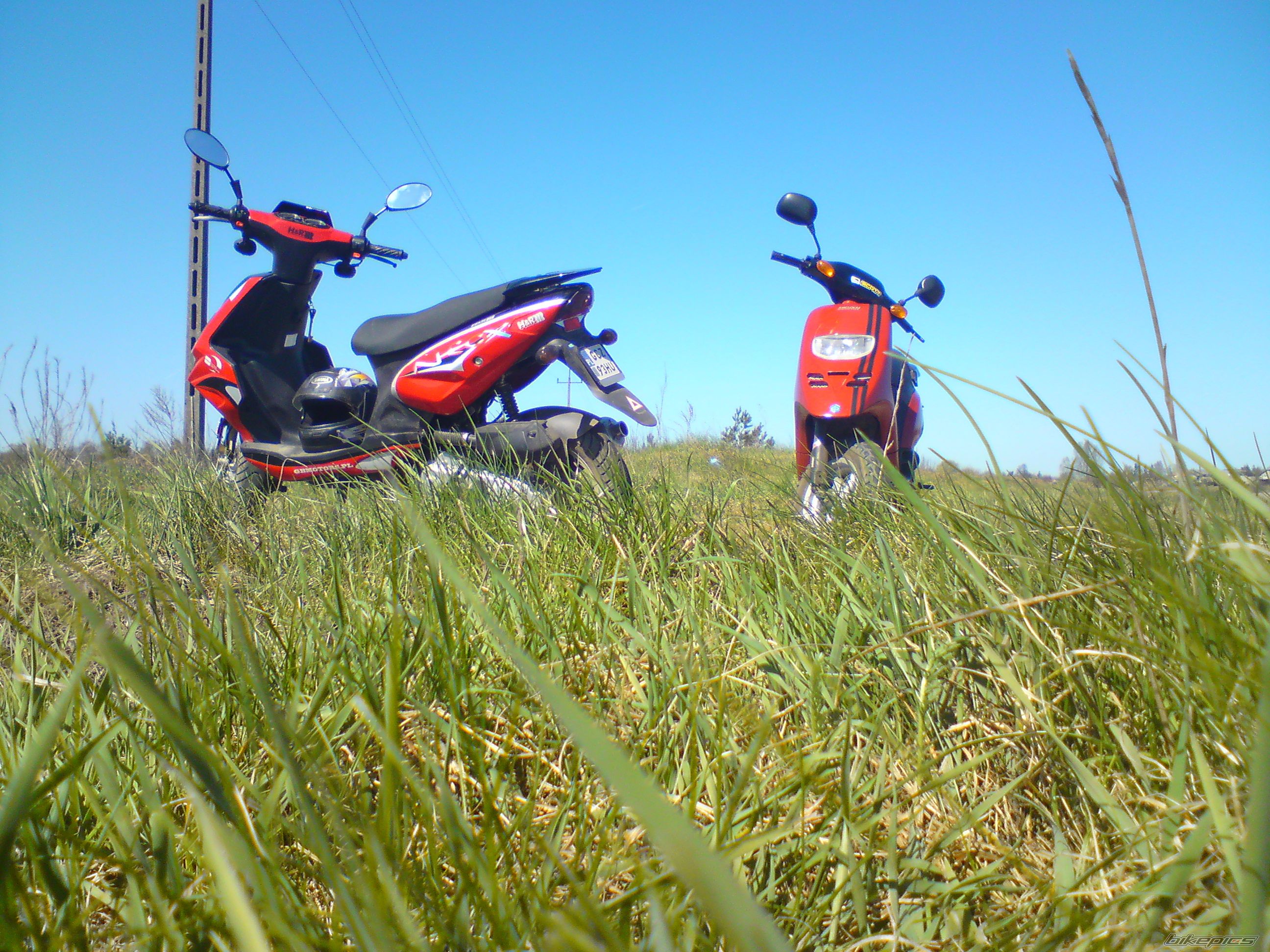 Photo 1645886