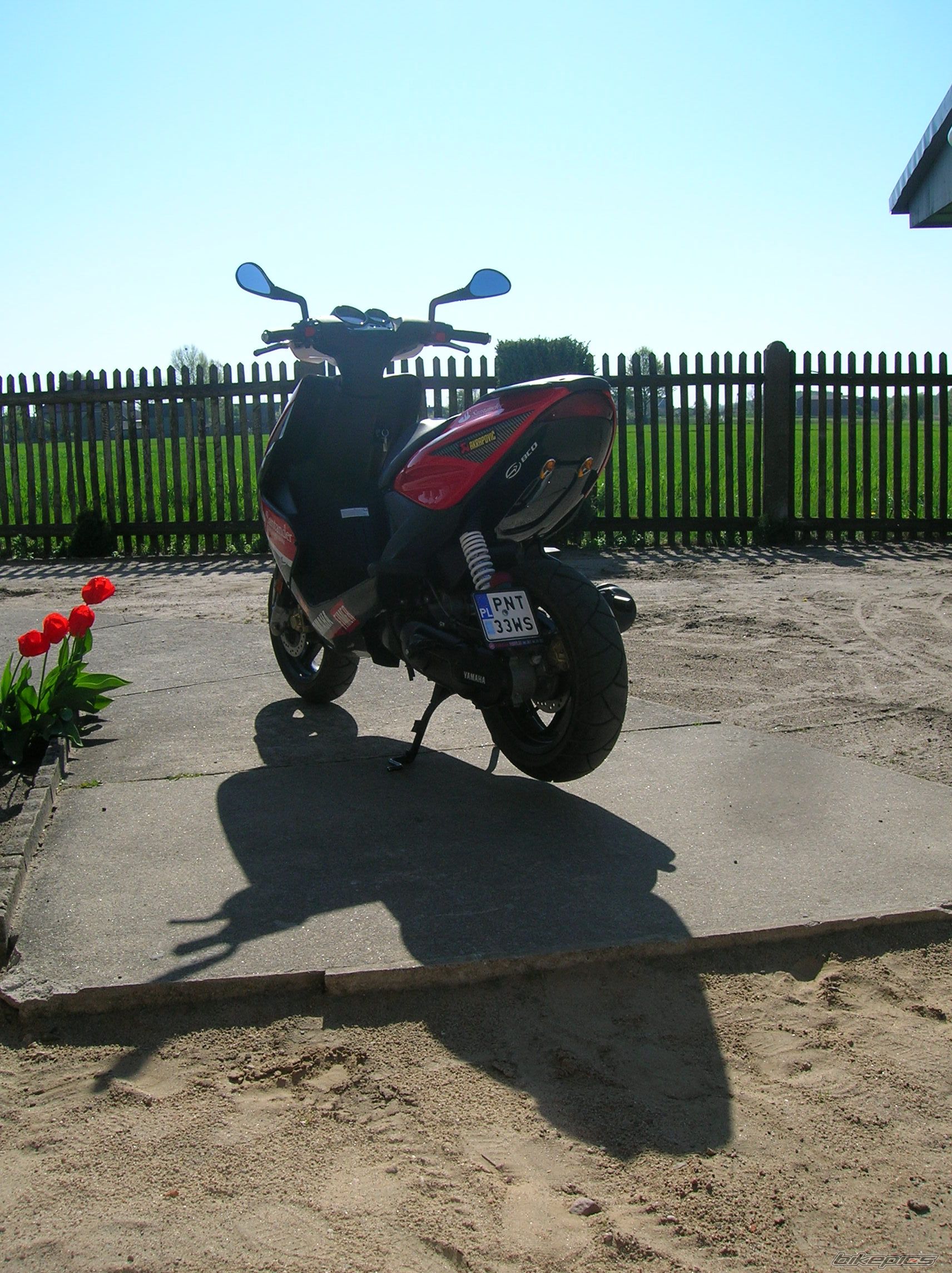 Photo 1645925