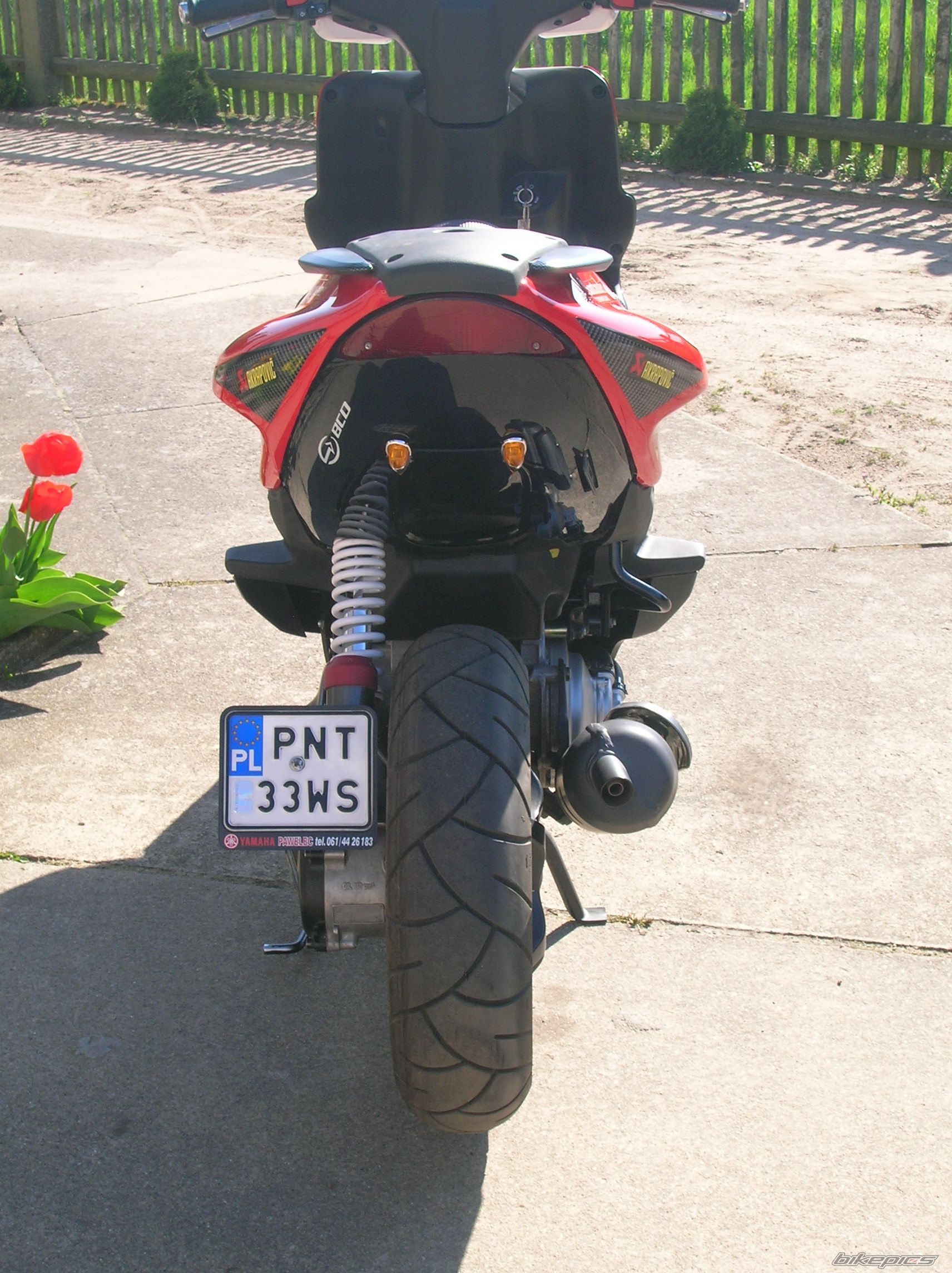 Photo 1645926
