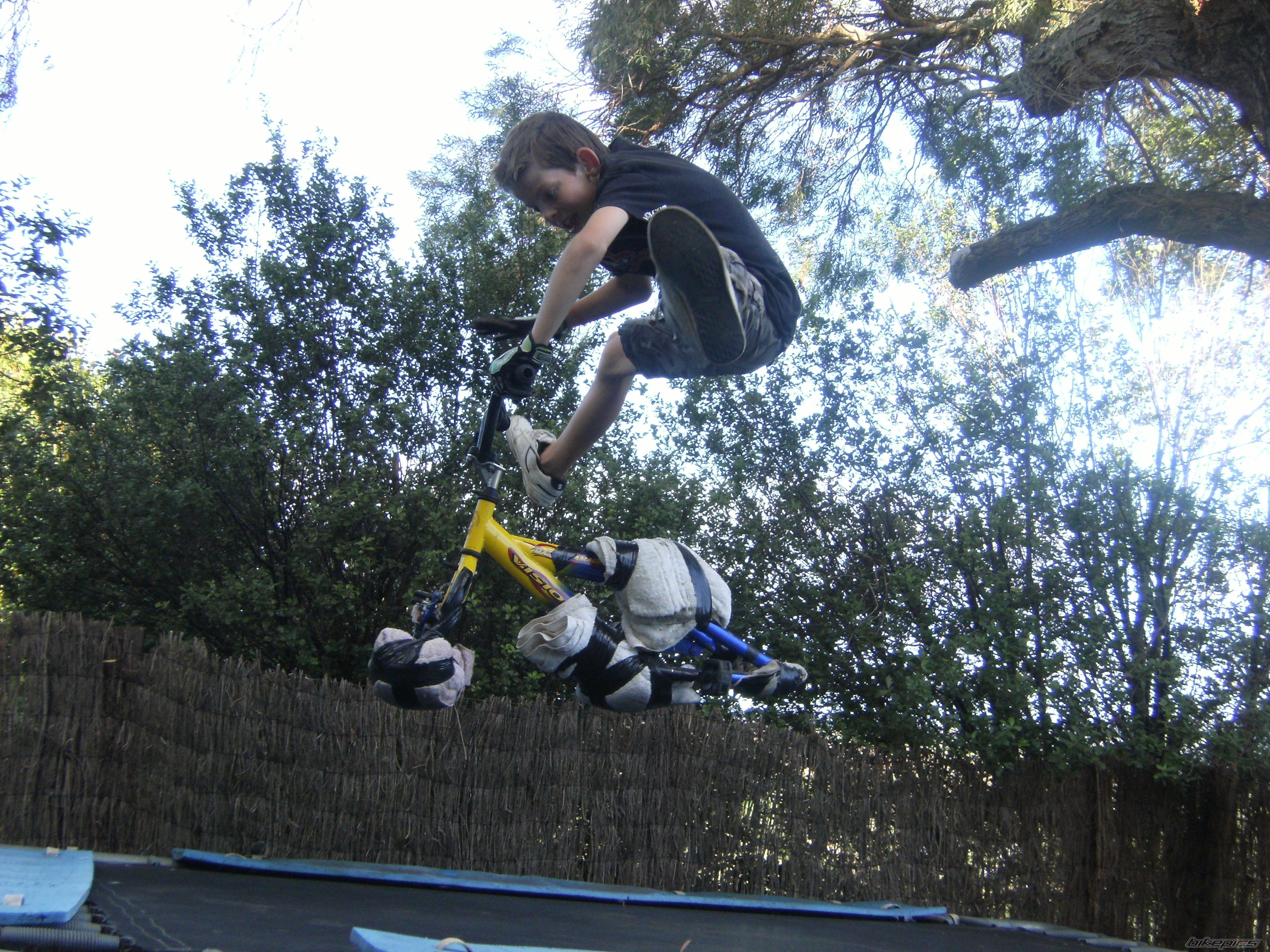 Photo 1645933