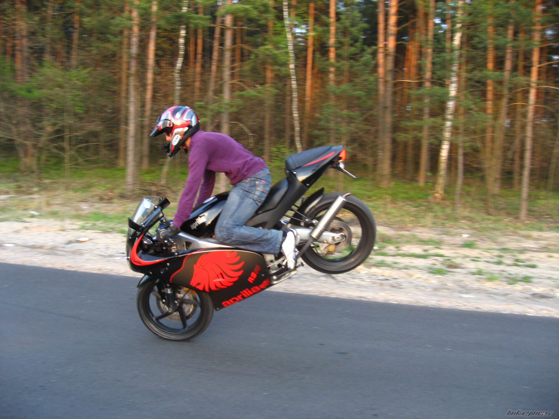 Photo 1645956