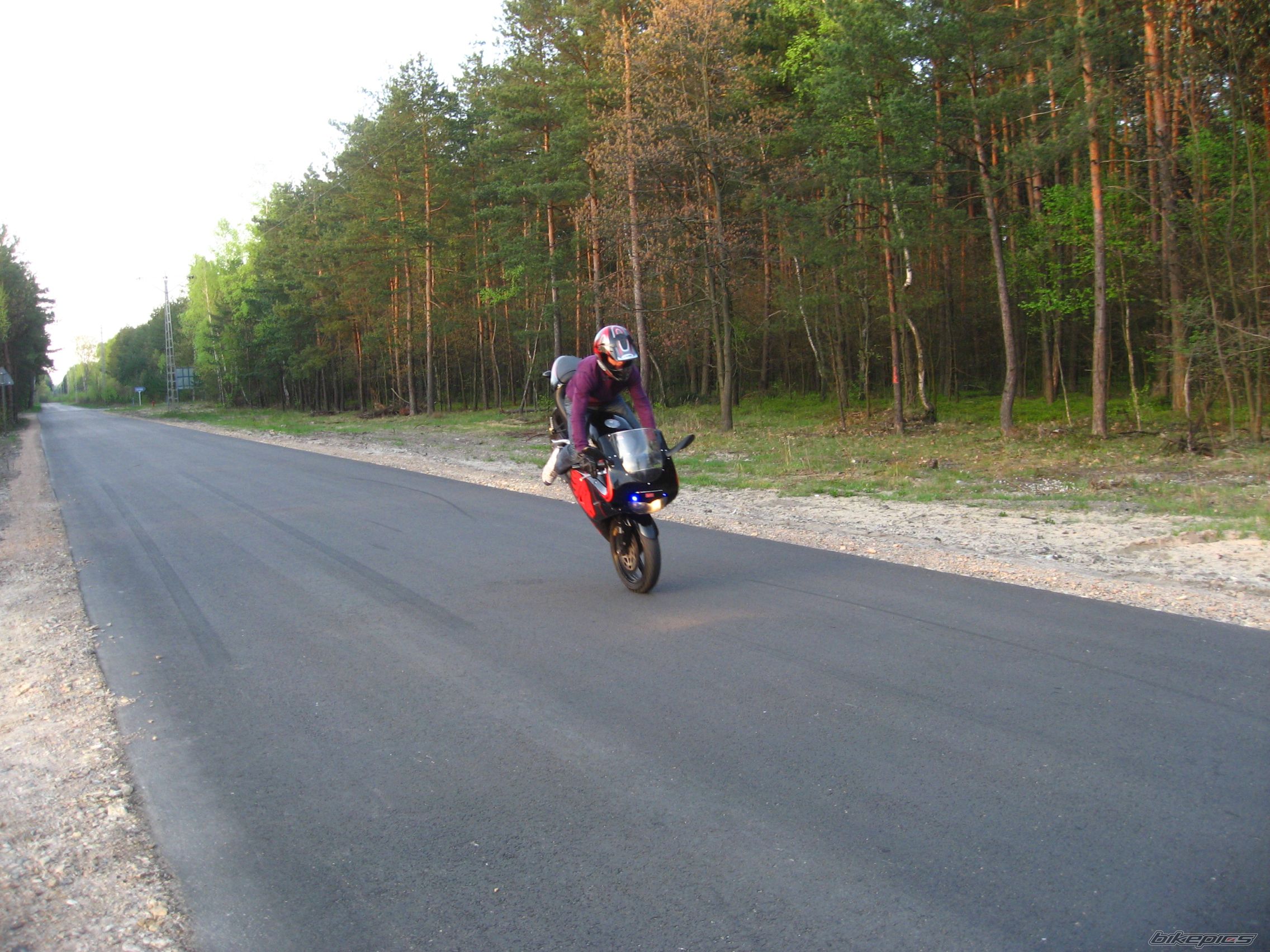 Photo 1645957