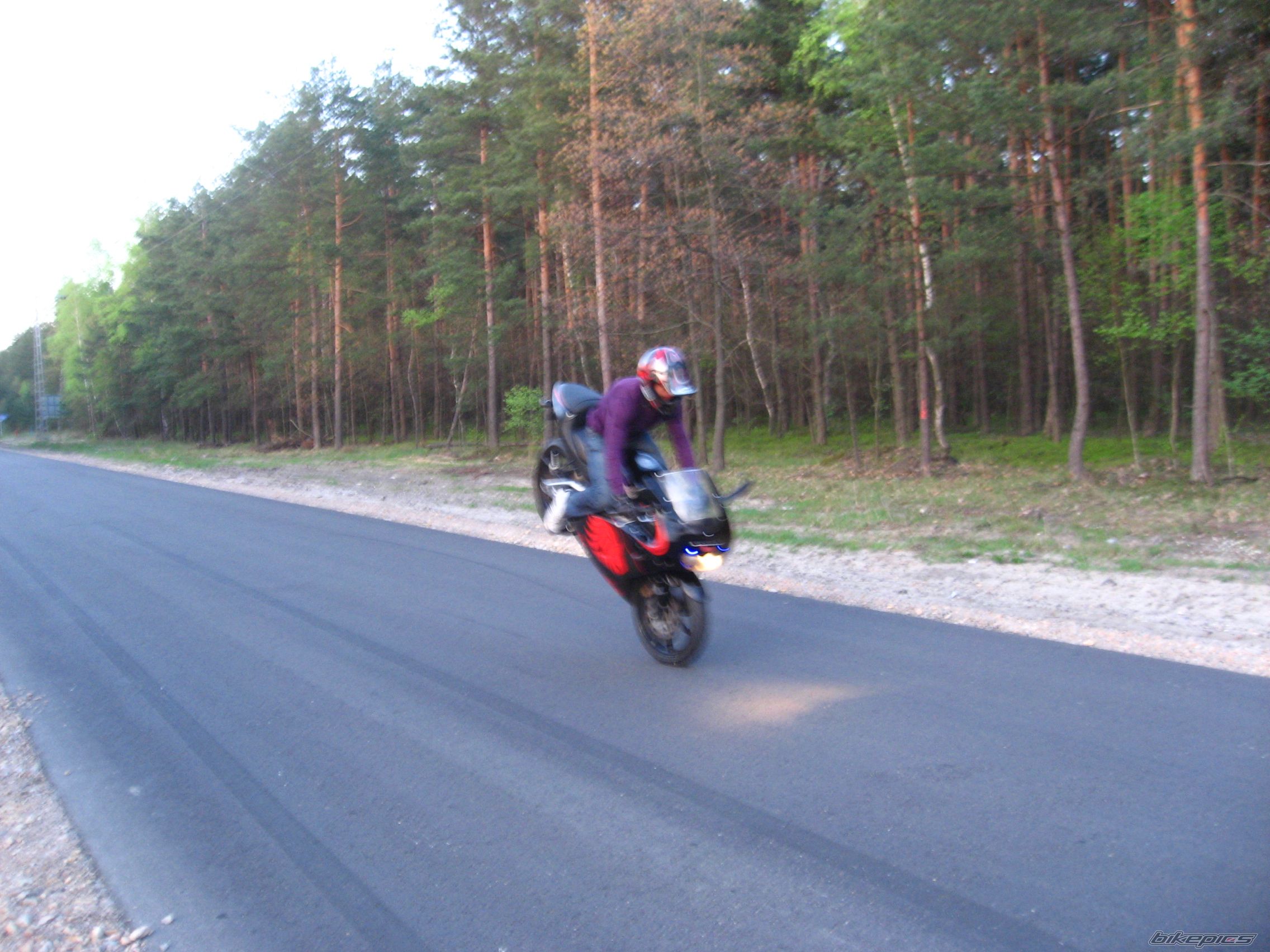 Photo 1645965