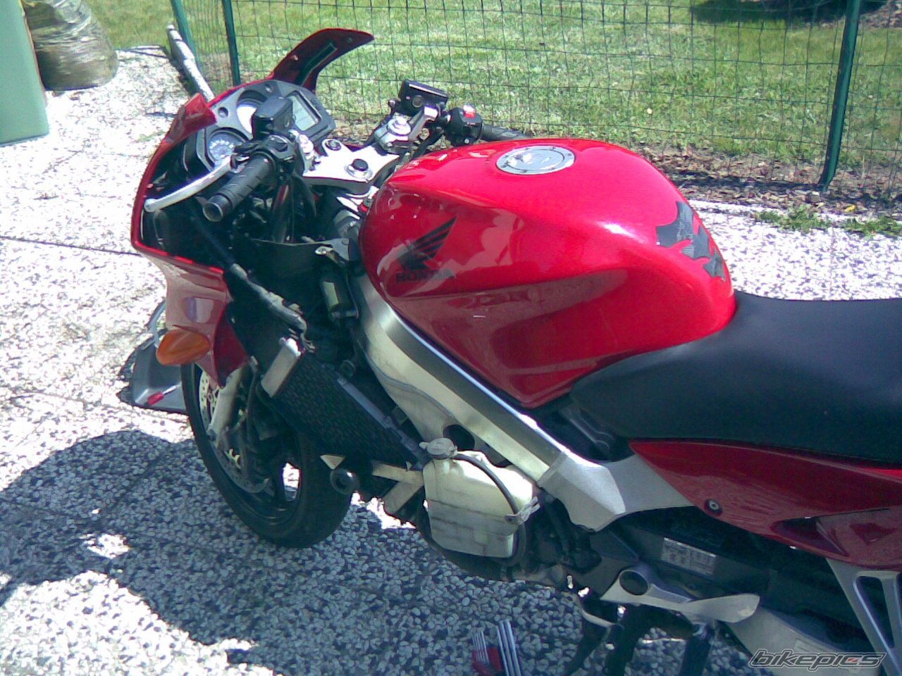 Photo 1646005