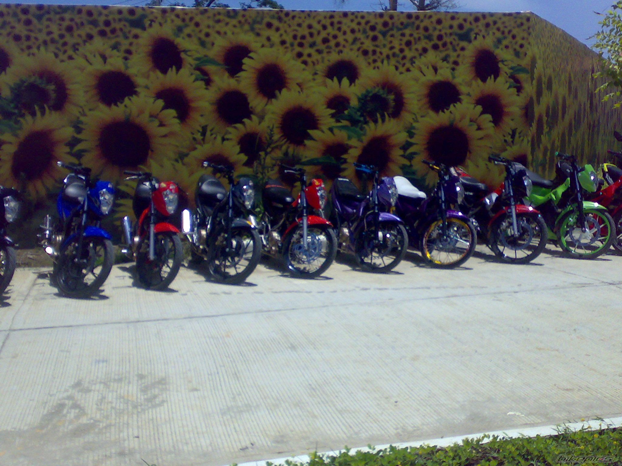 Bike Photo 1646060