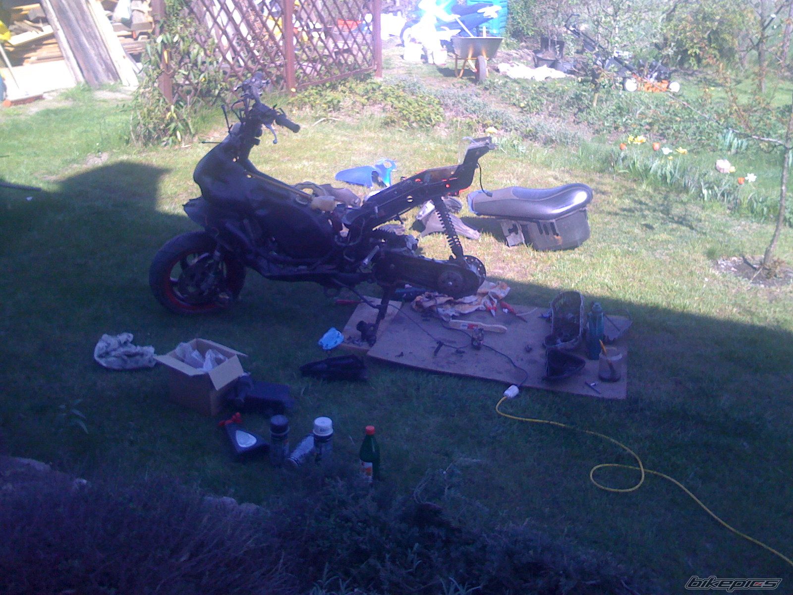 Photo 1646085