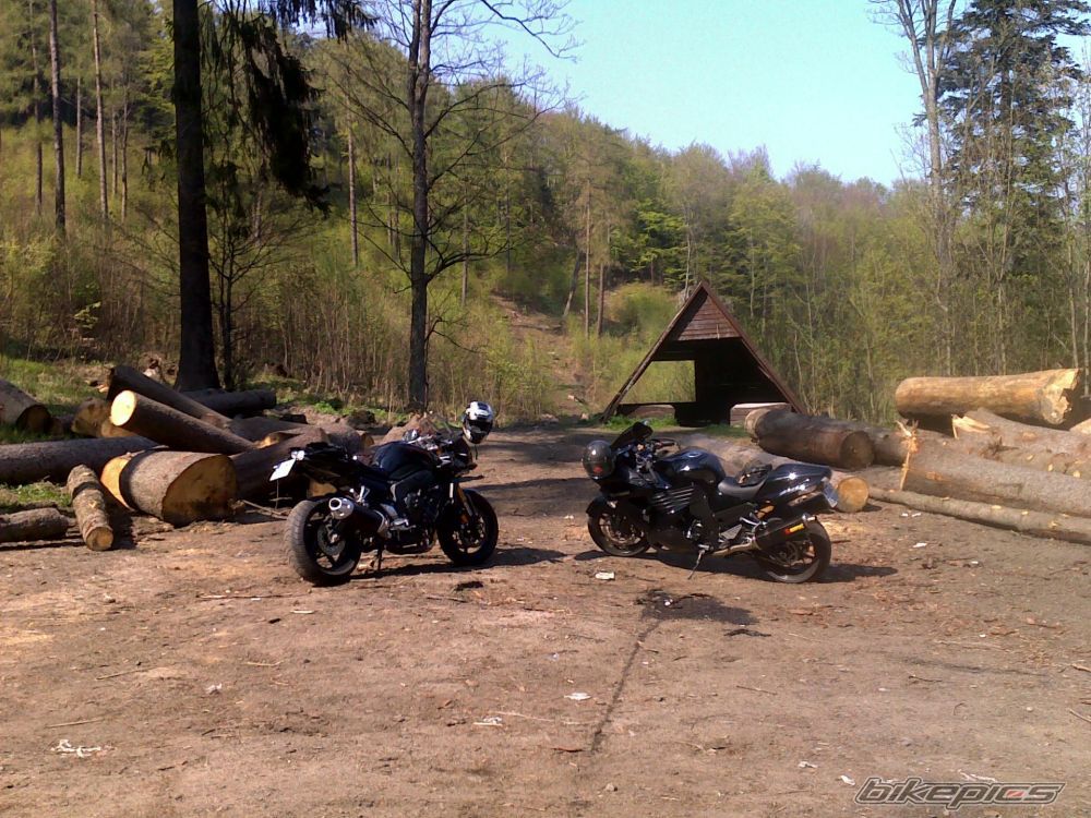 Photo 1646176