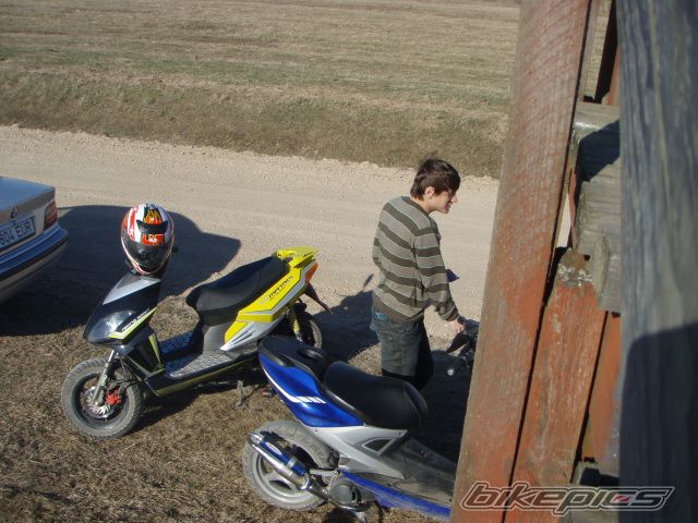 Photo 1646244