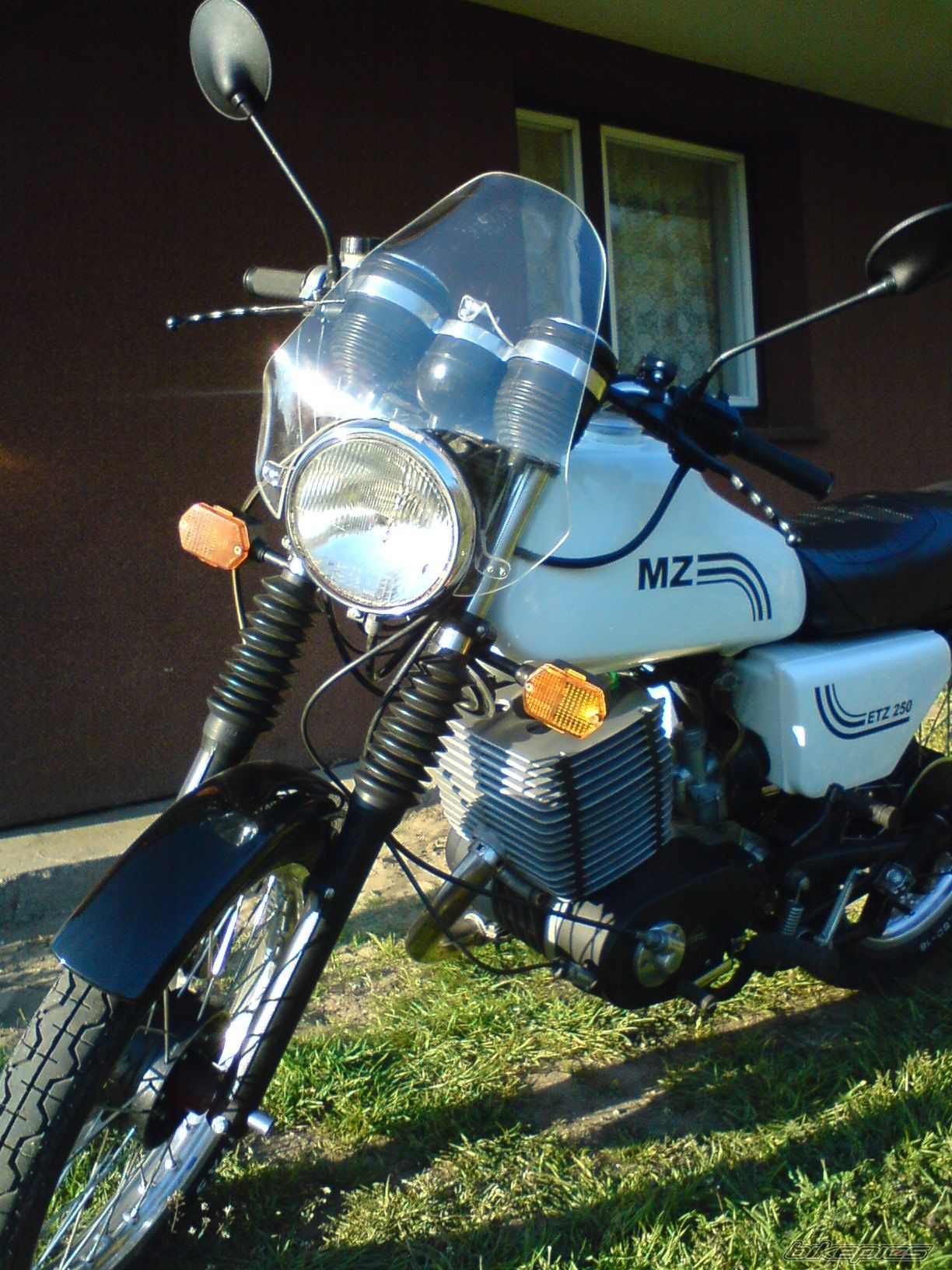 Photo 1646281