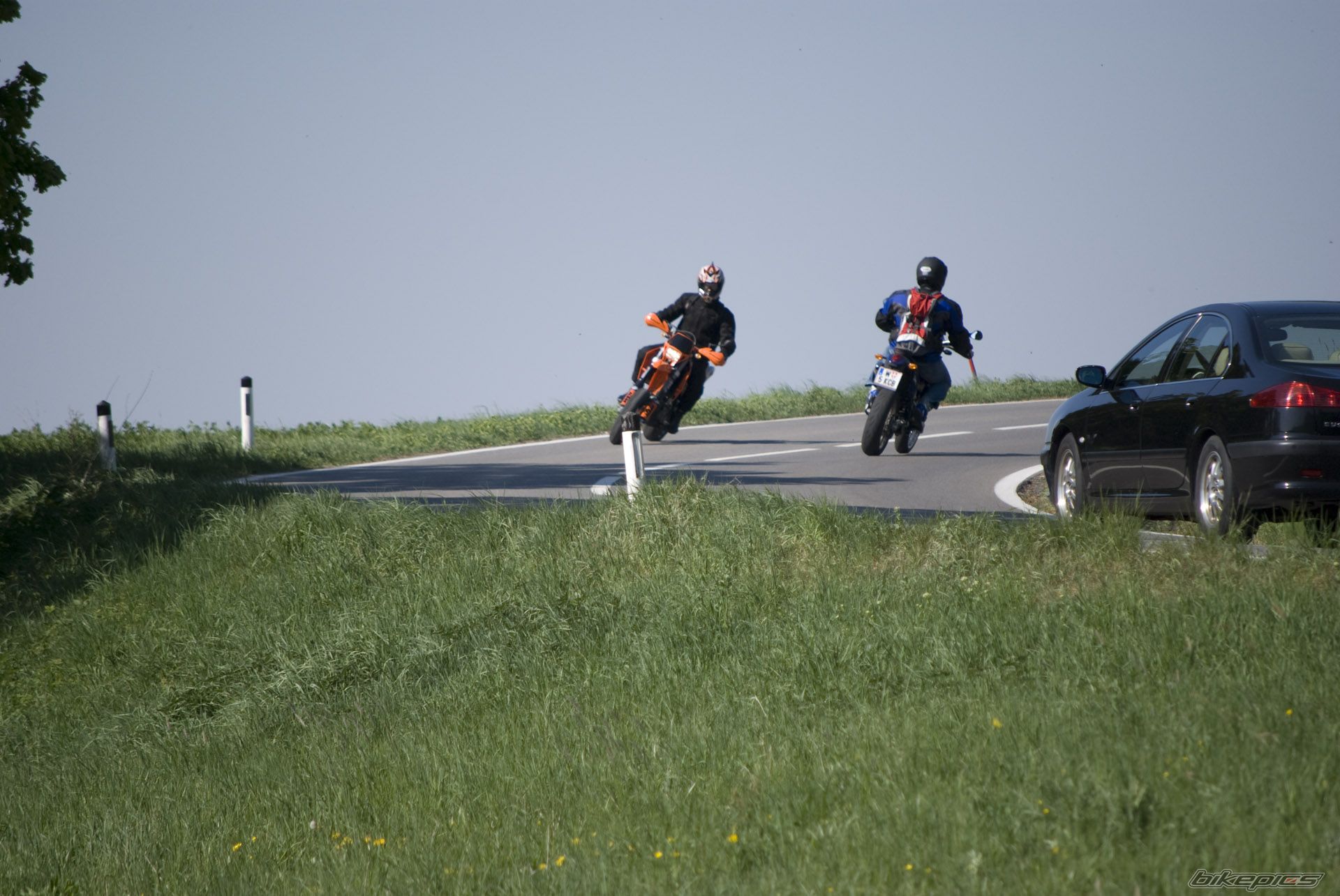 Photo 1646303