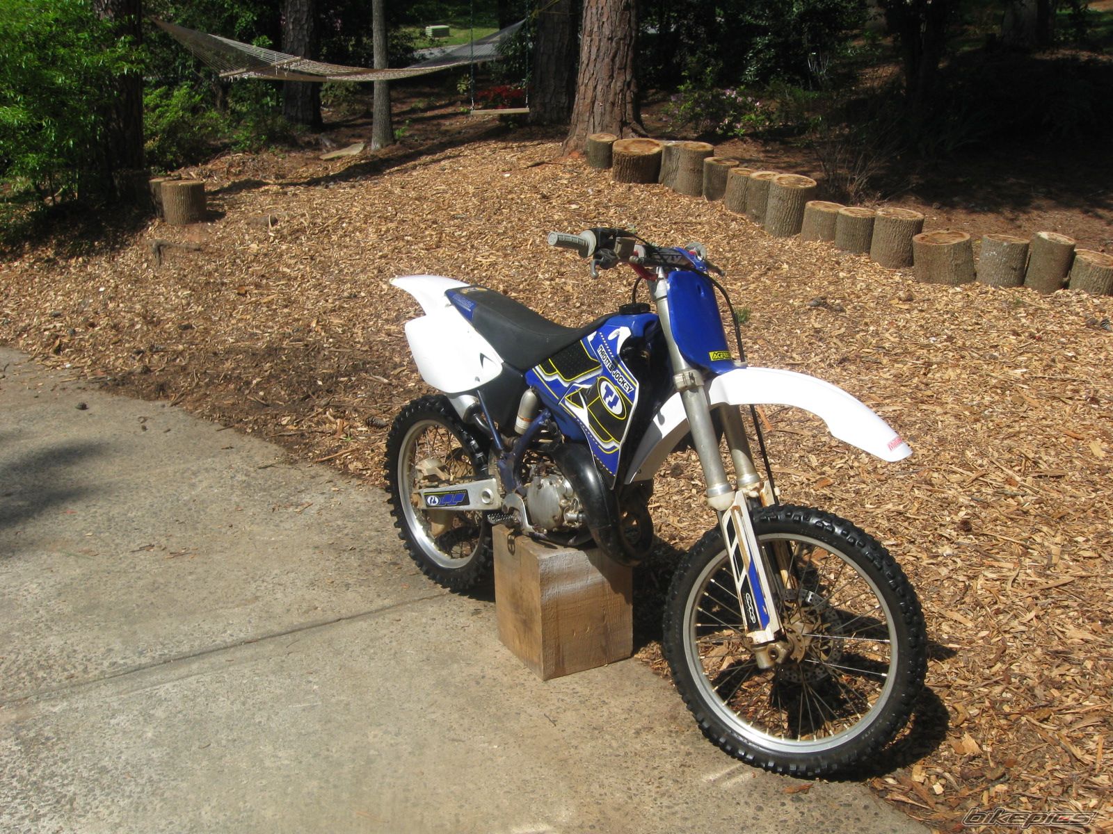 Photo 1646353