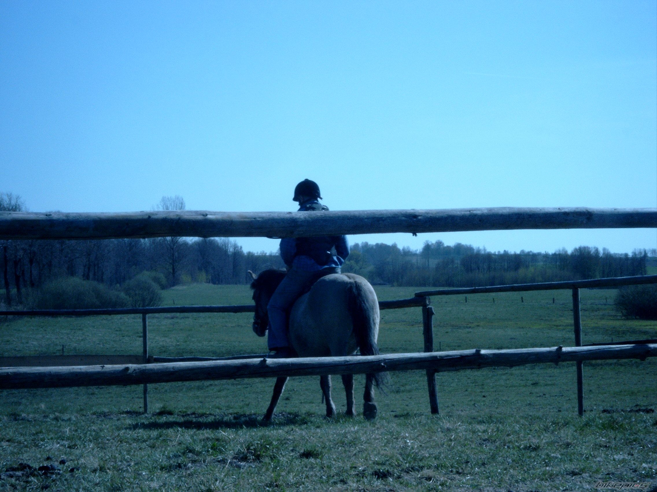 Photo 1646355