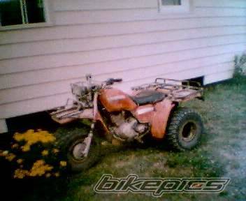 Photo 164637