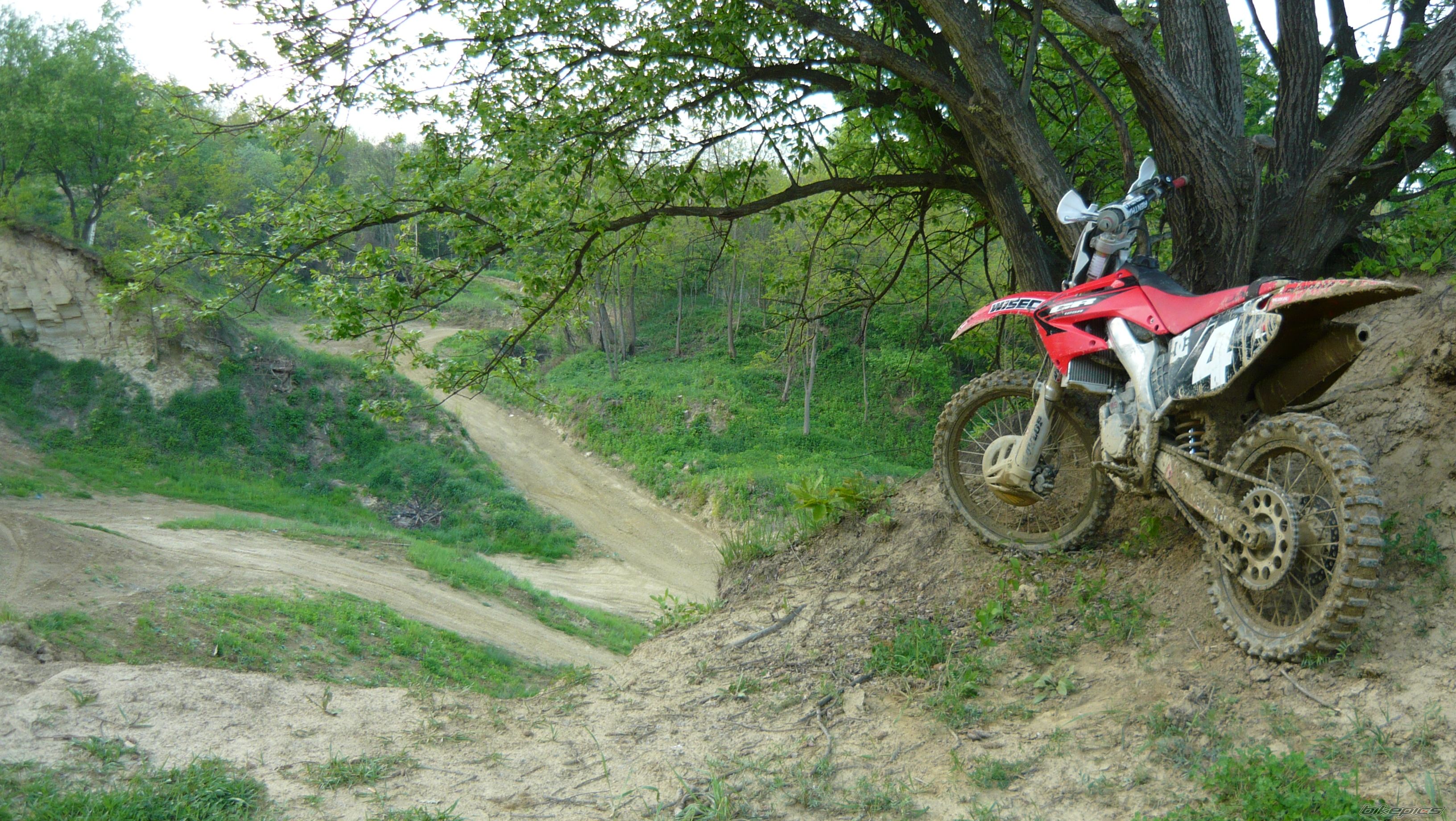 Photo 1646416