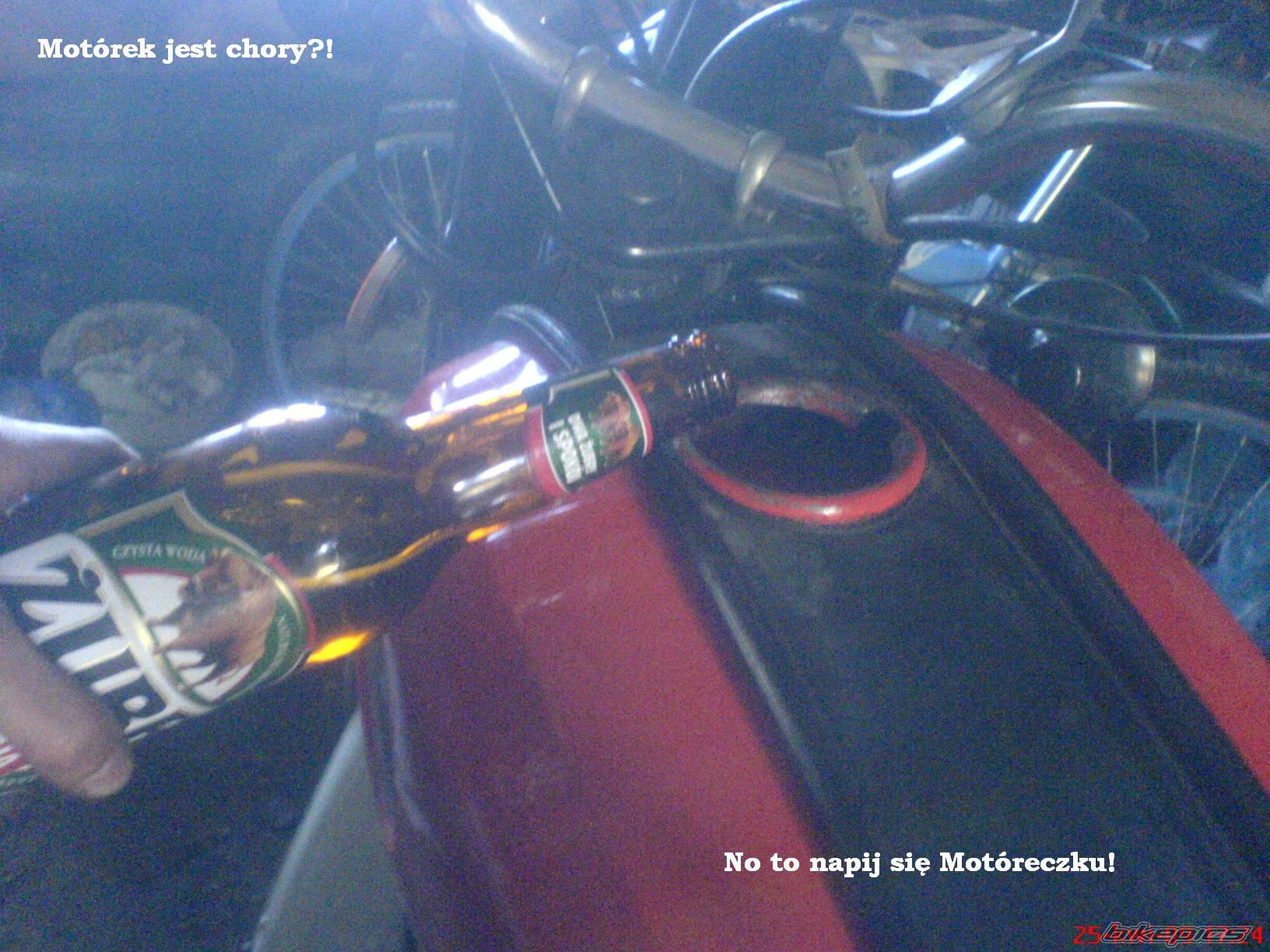 Photo 1646448